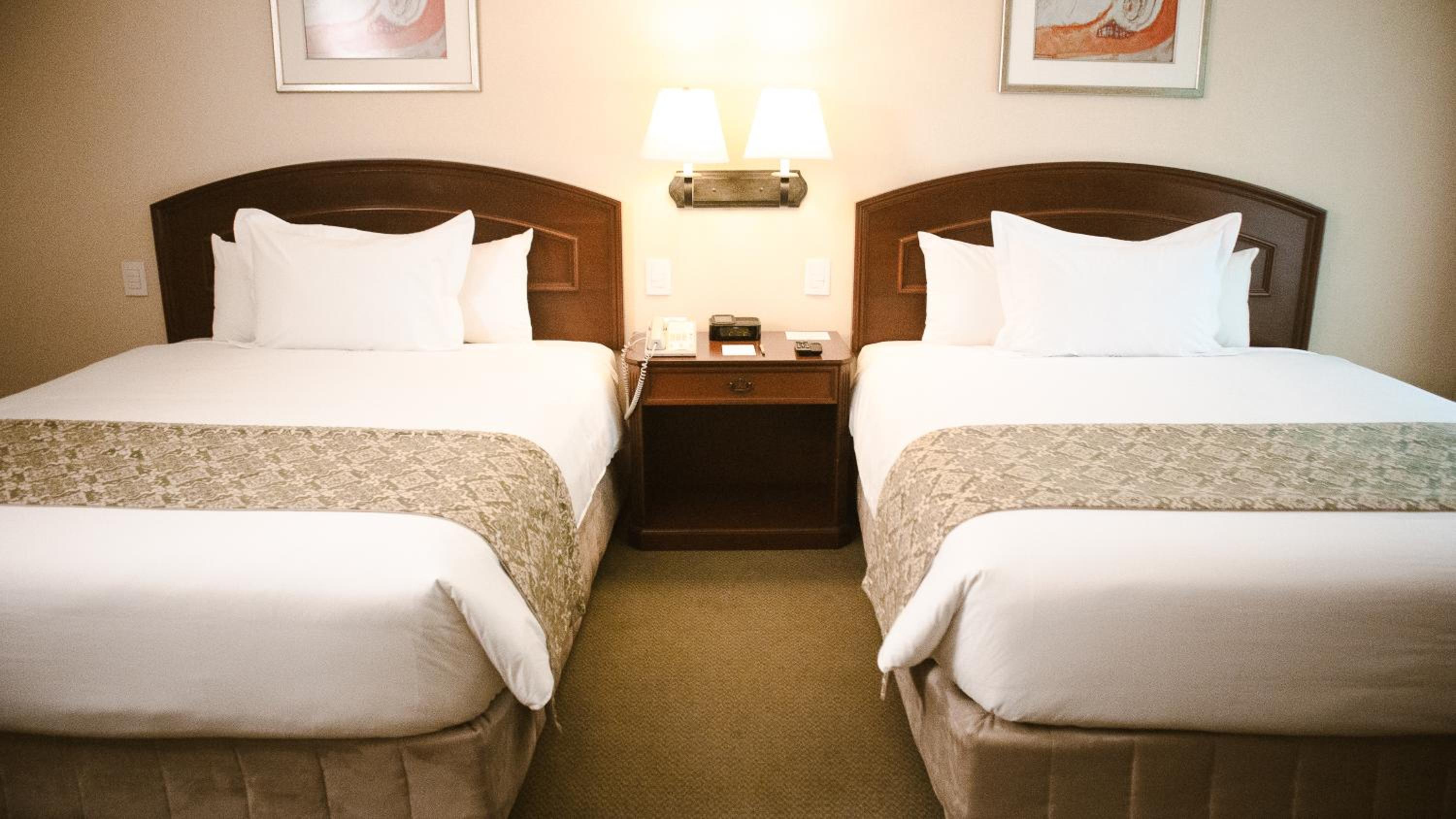 Premium Twin Room photo 3