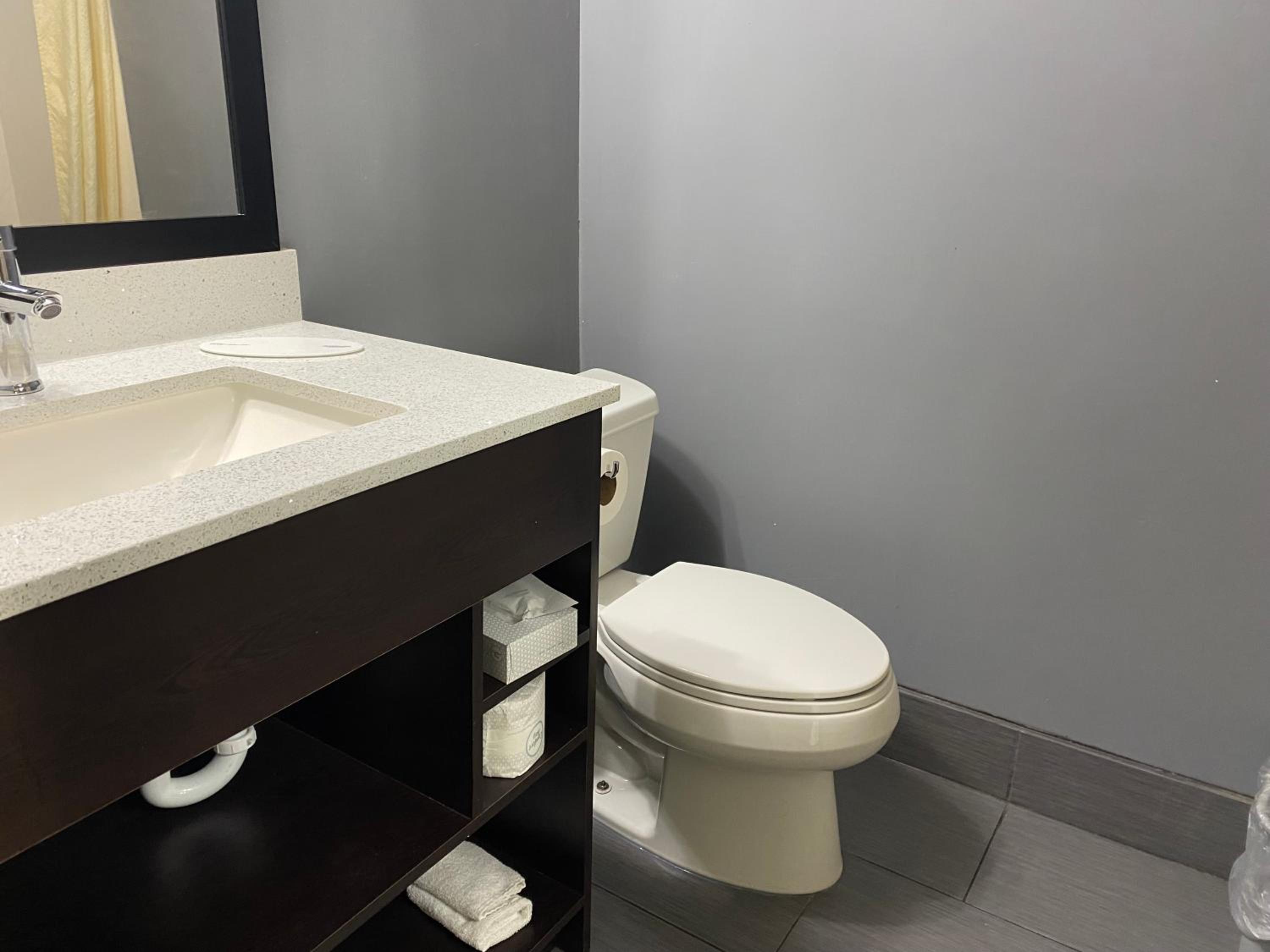 One-Bedroom Junior King Suite - Non-Smoking - Photo 2