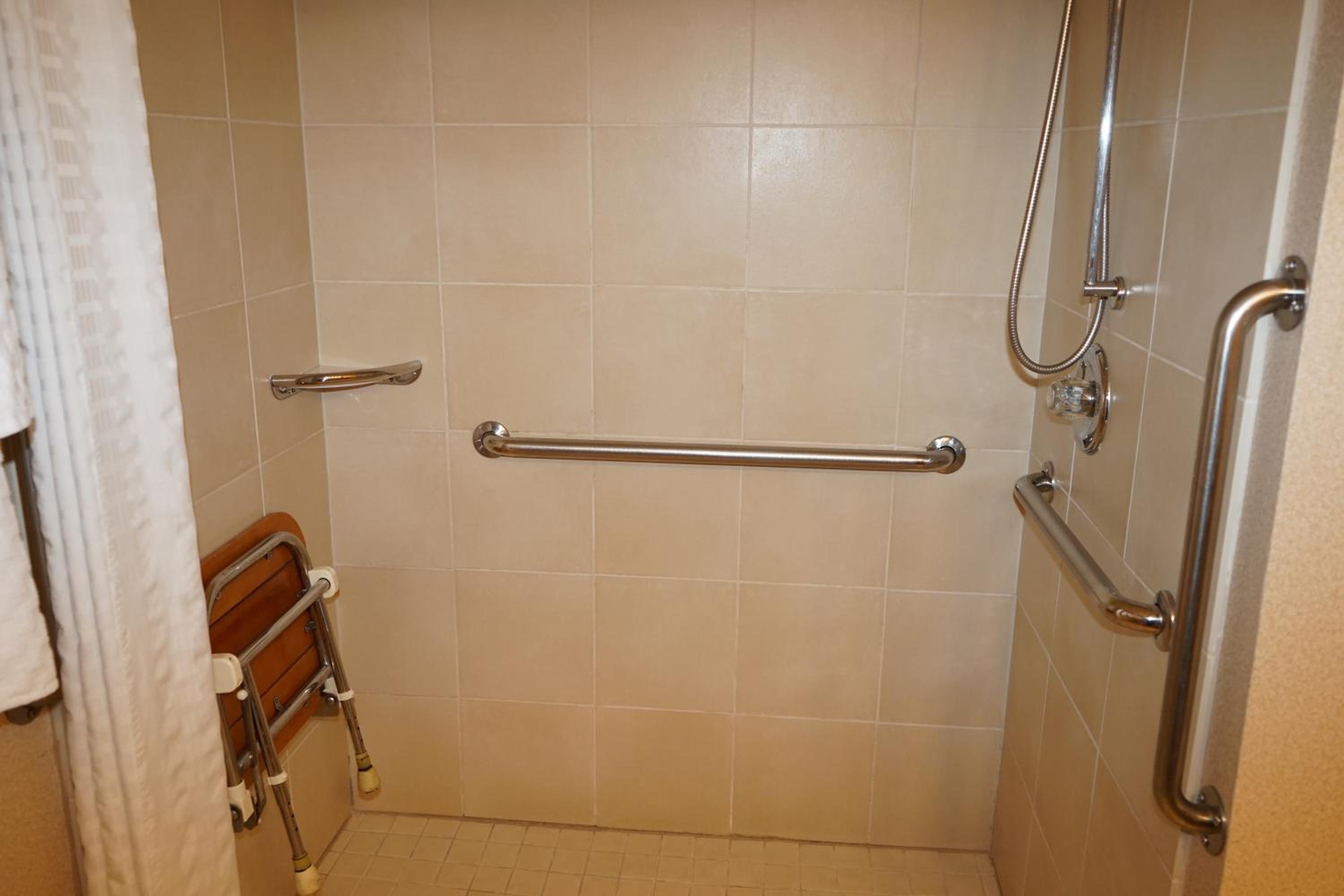 Queen Room with  Mobility Access and Roll-in Shower, Non-Smoking - Photo 2