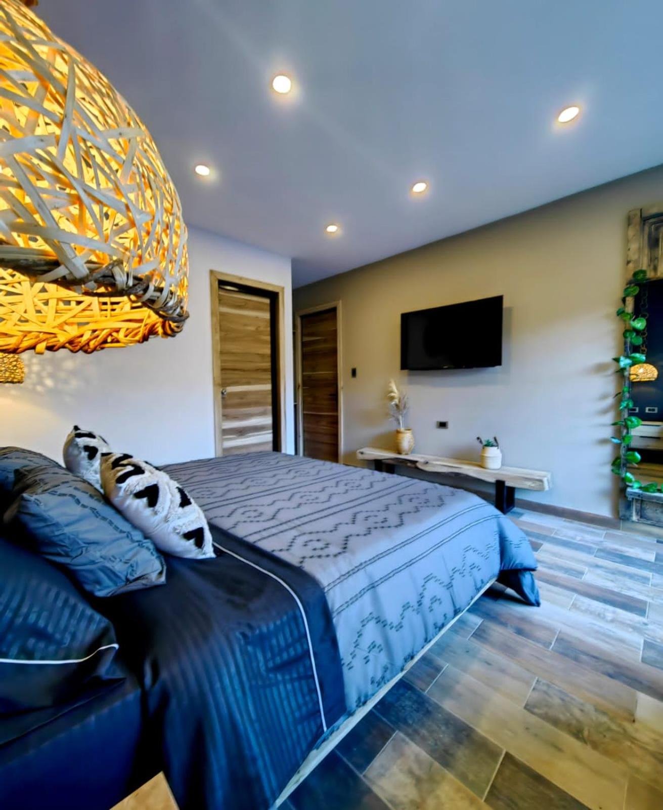 King Suite with Spa Bath photo 3