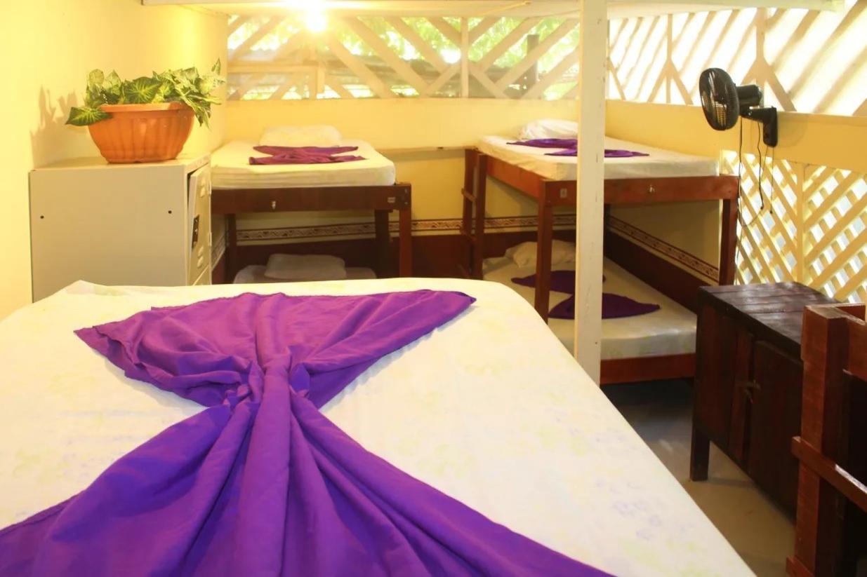 Bed In 8-Bed Mixed Dormitory Room photo 2