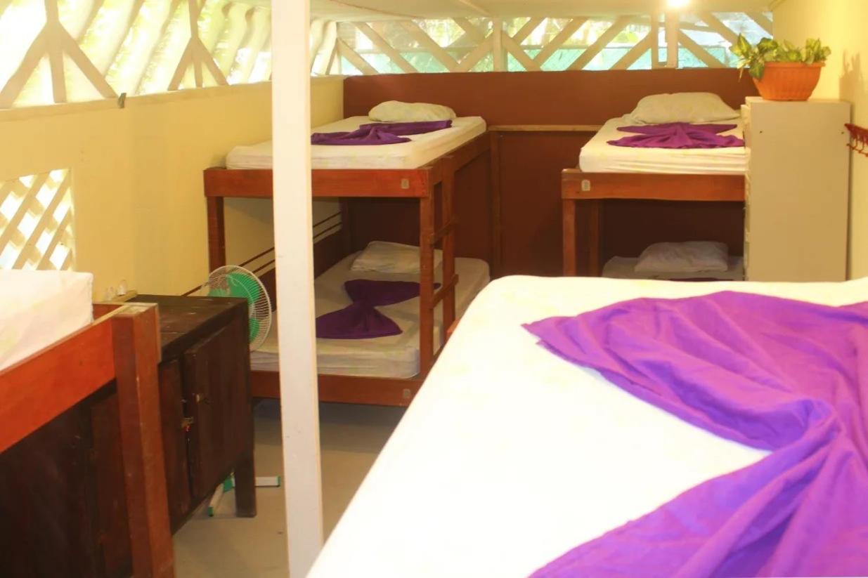 Bed In 8-Bed Mixed Dormitory Room photo 3