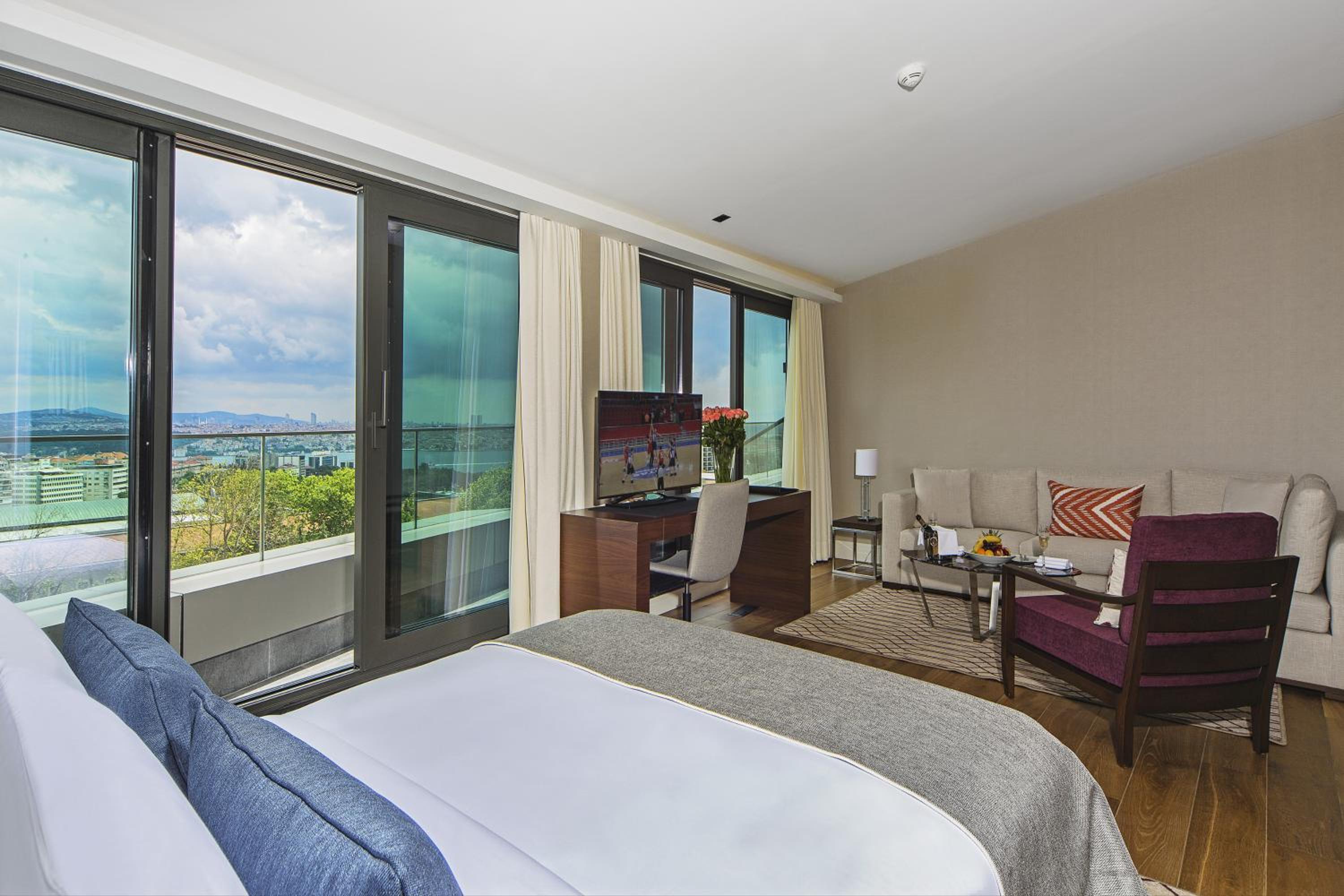 Family Room Terrace with Bosphorus View photo 1