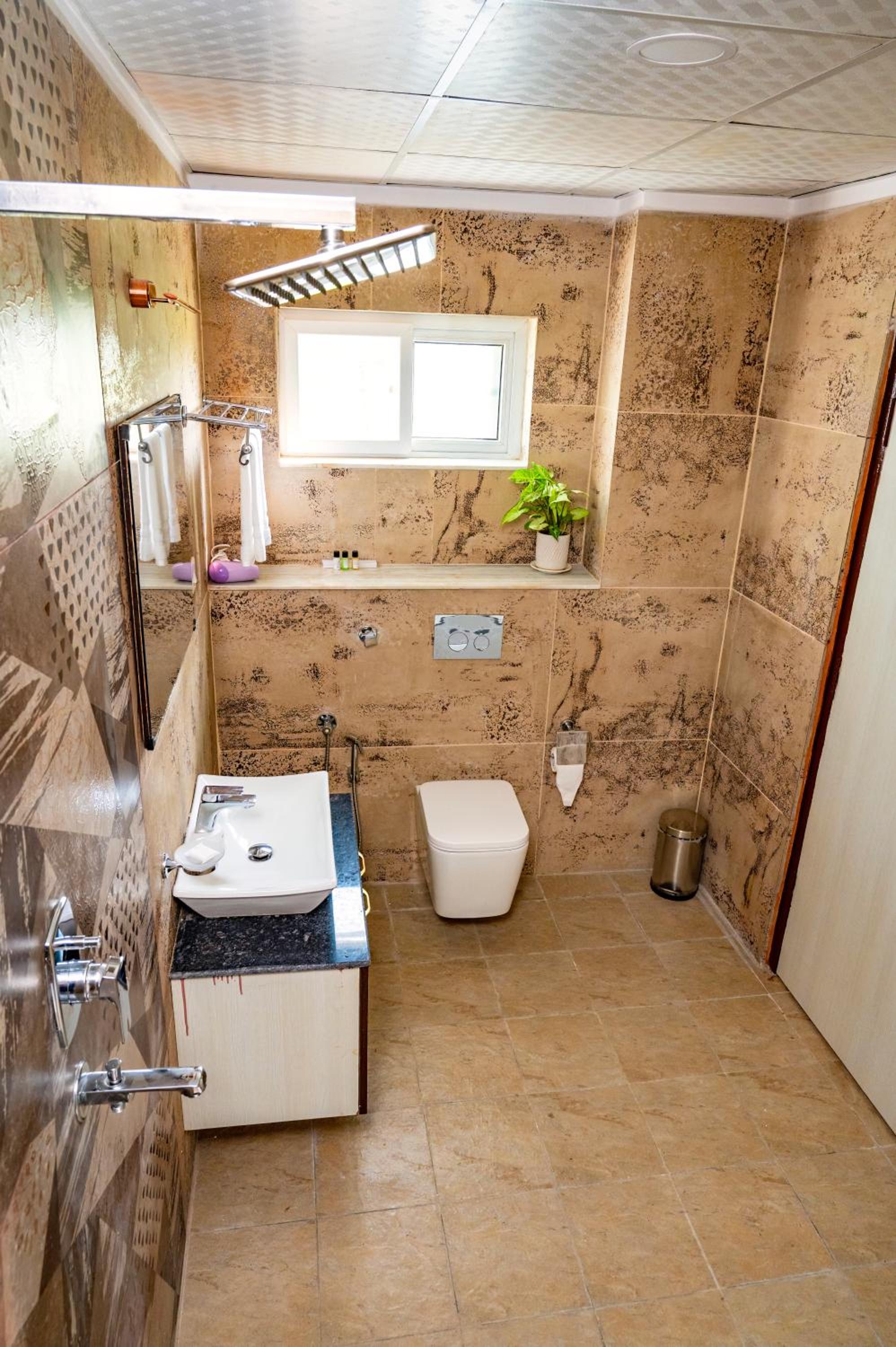 Suite - Photo 3