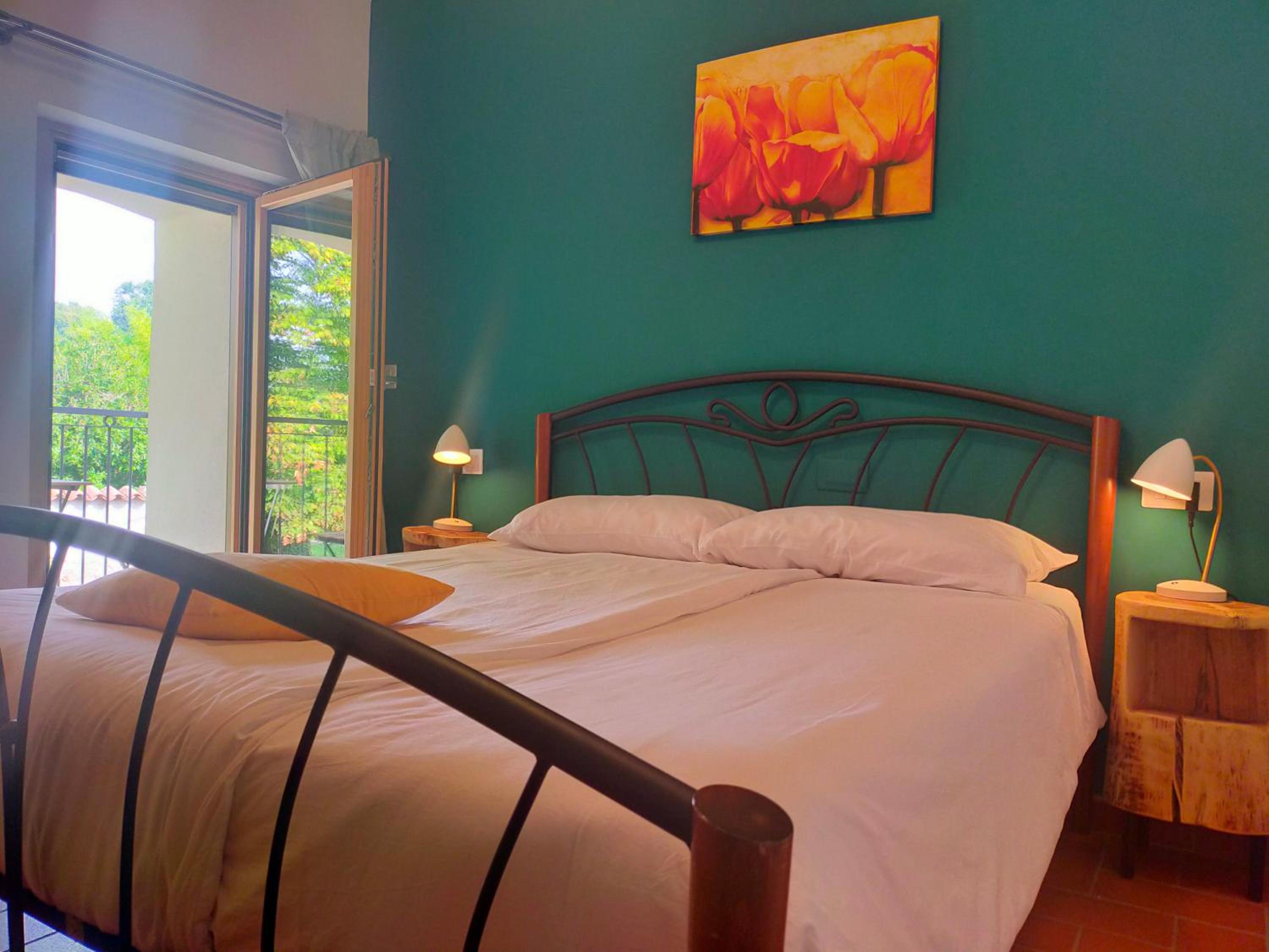 Deluxe Double or Twin Room with Mountain View photo 1