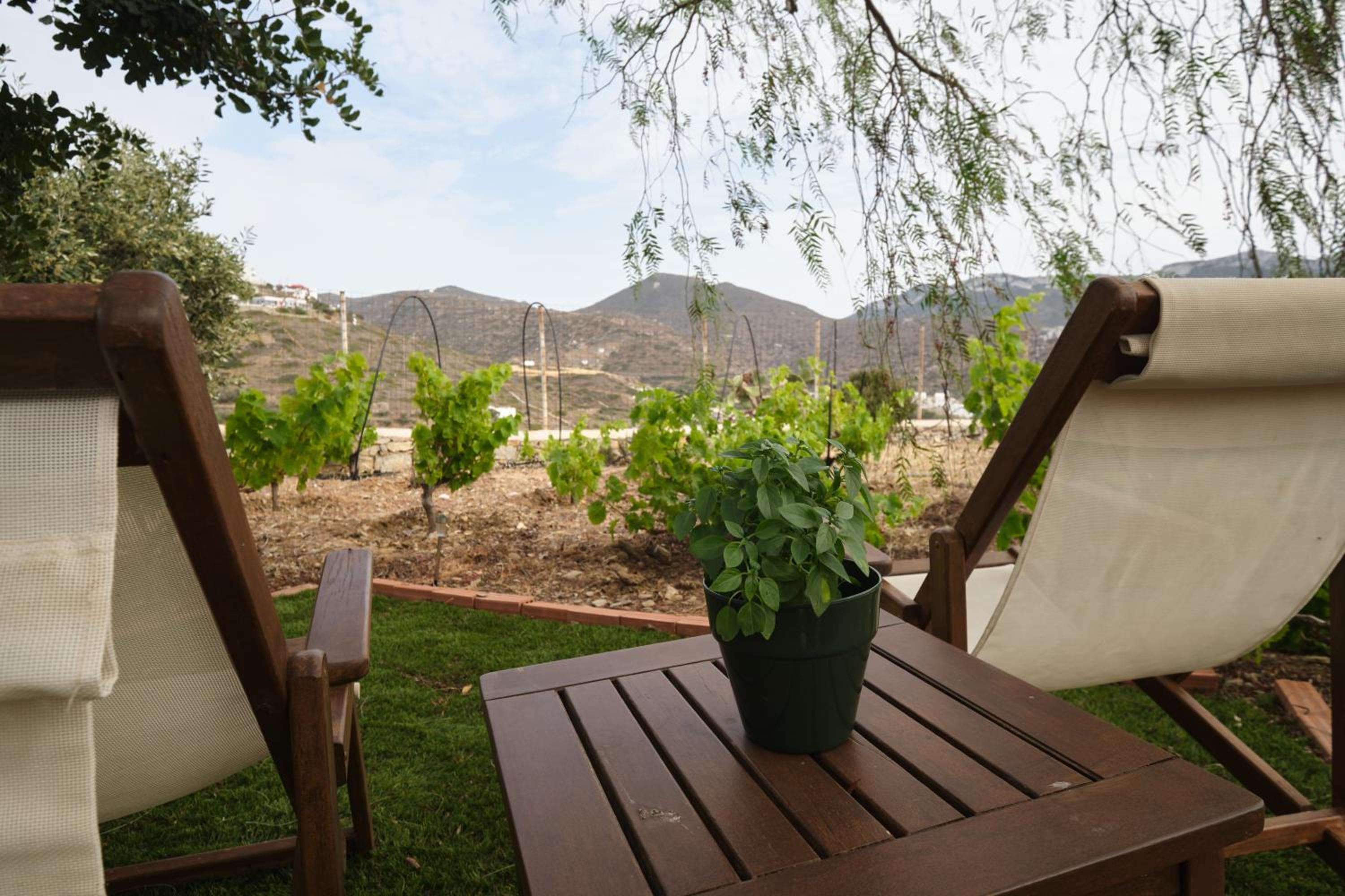 One-Bedroom Apartment (3 Adults) with Garden View photo 2