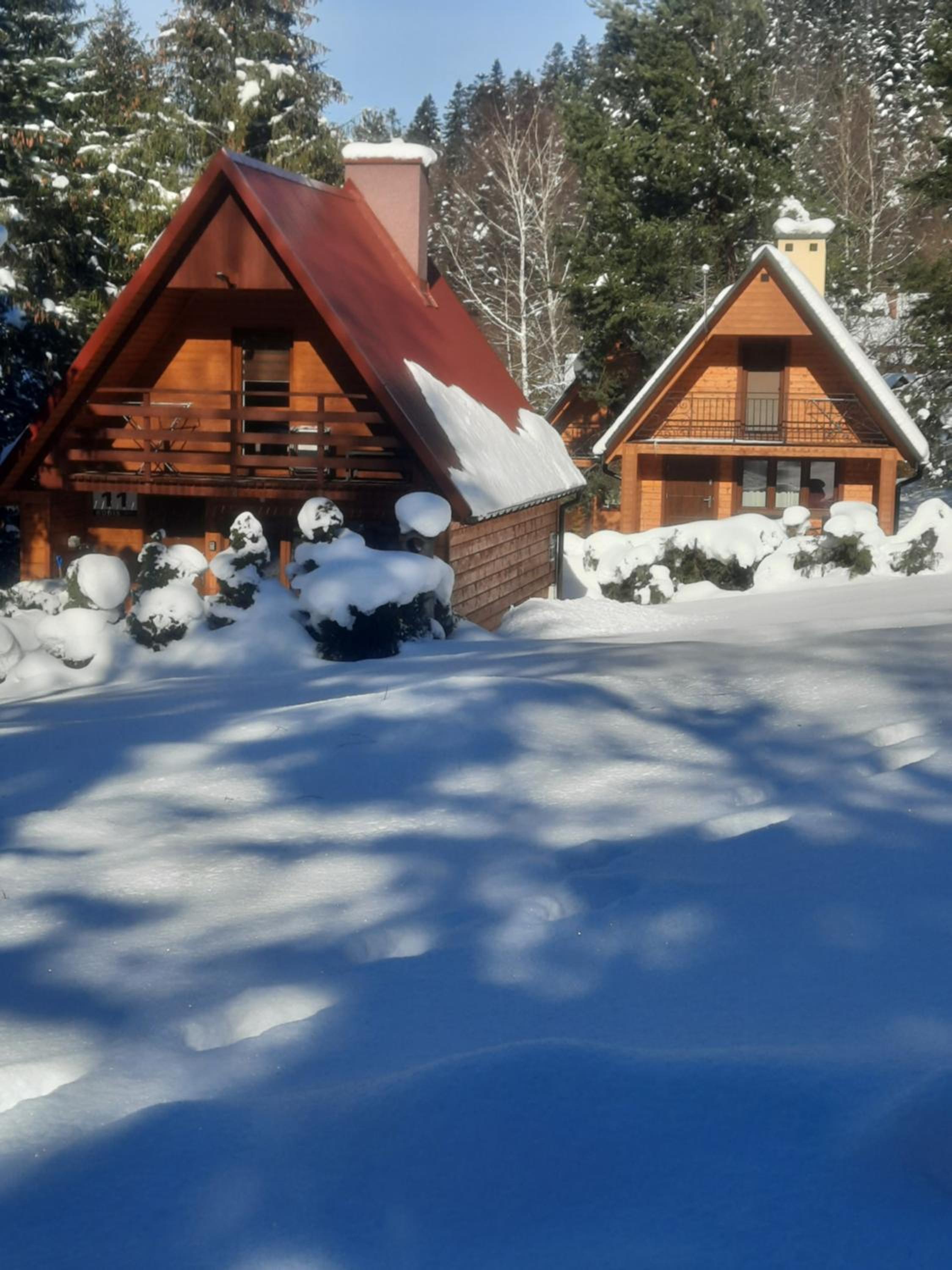Superior Chalet photo 2