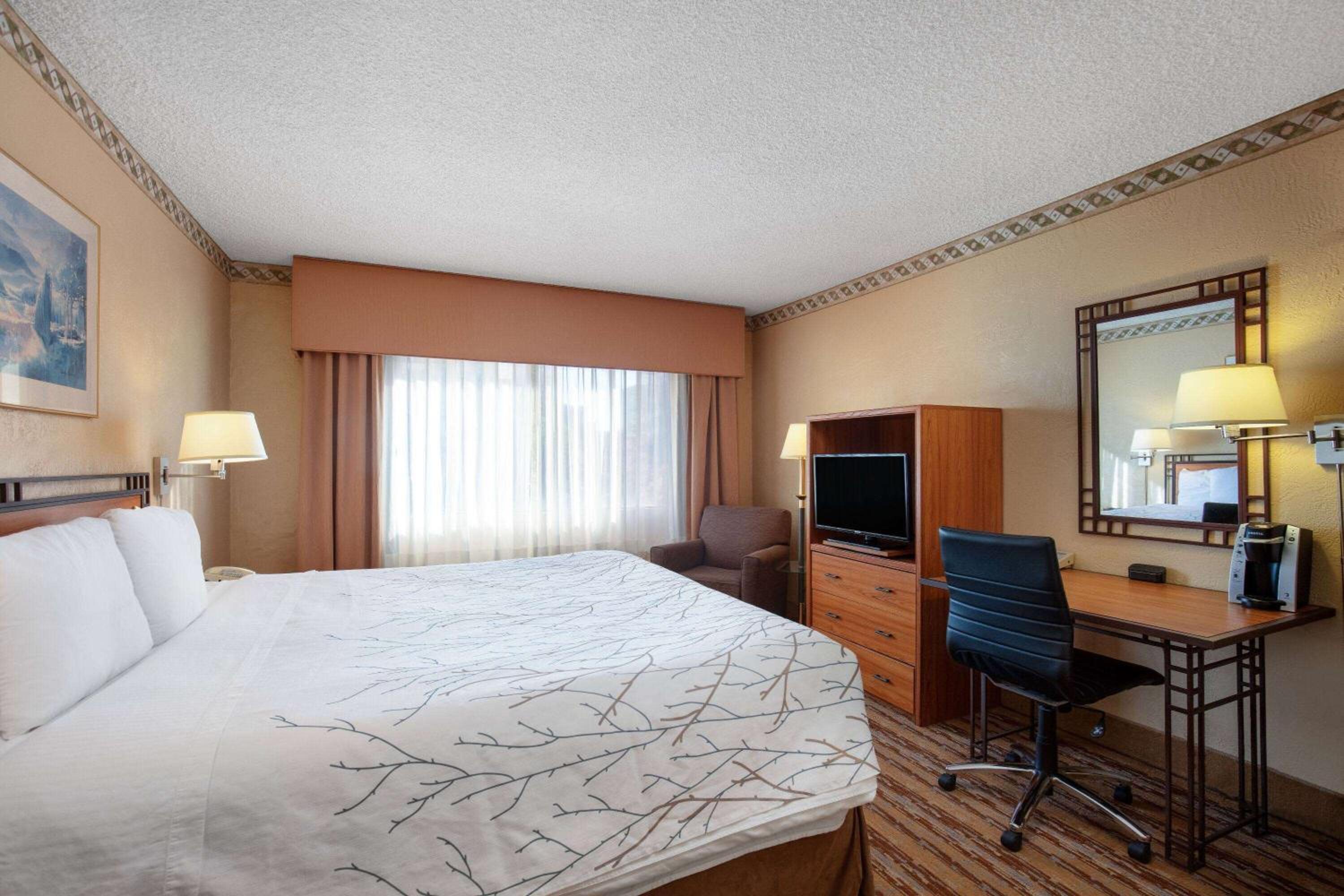 King Room - Non-Smoking photo 1