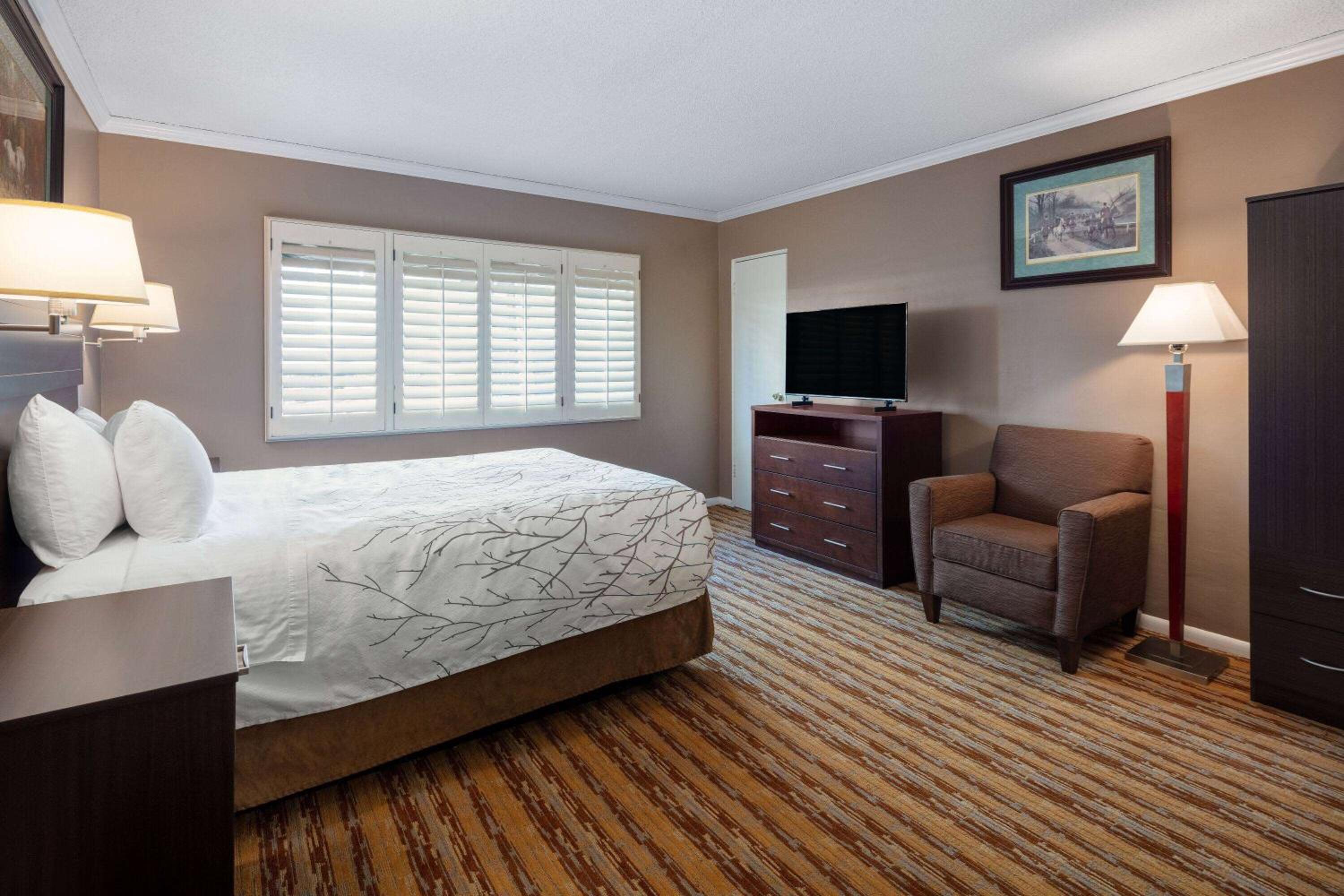 King Room with City View - Non-Smoking photo 1