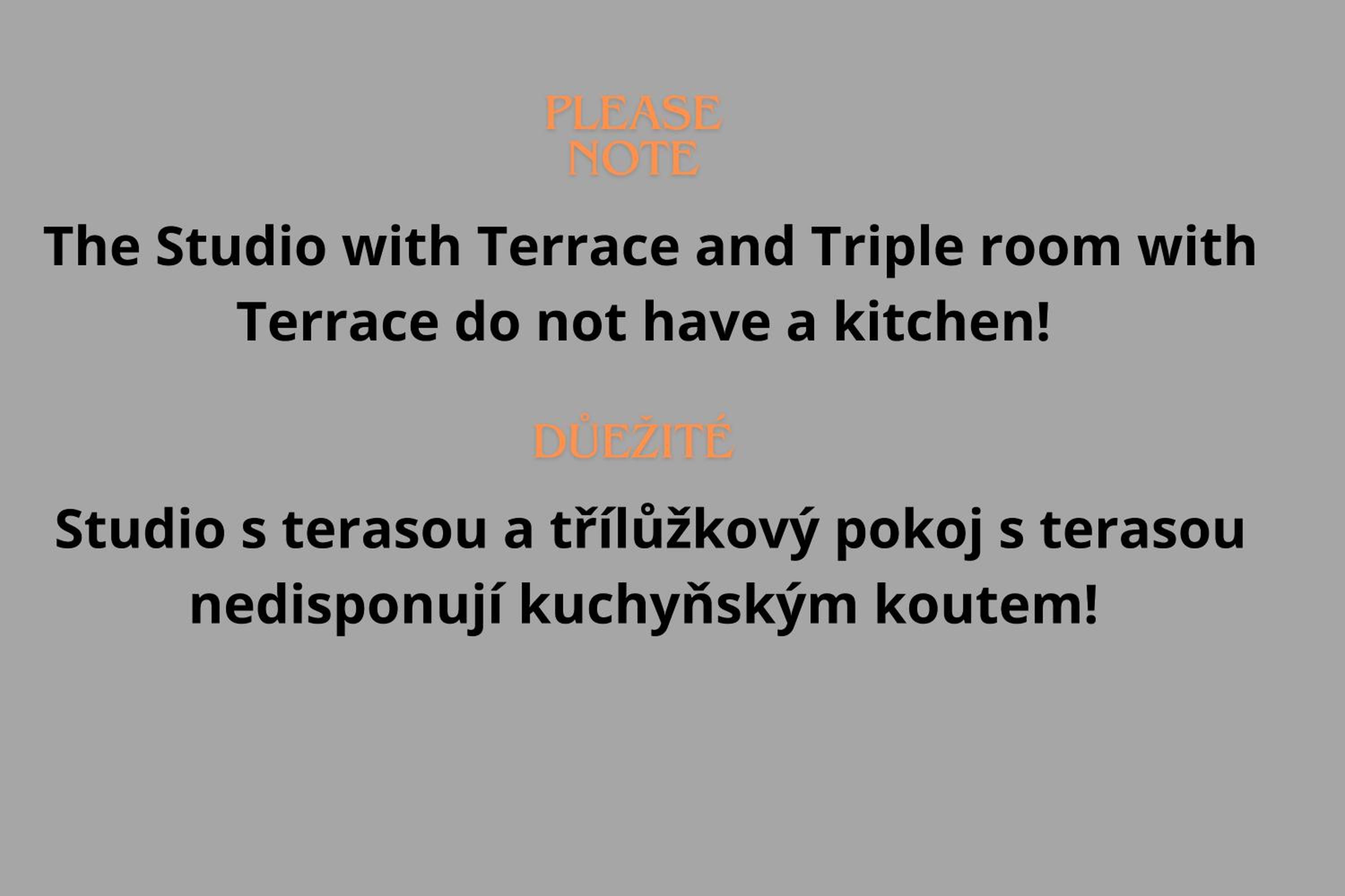 Studio with Terrace