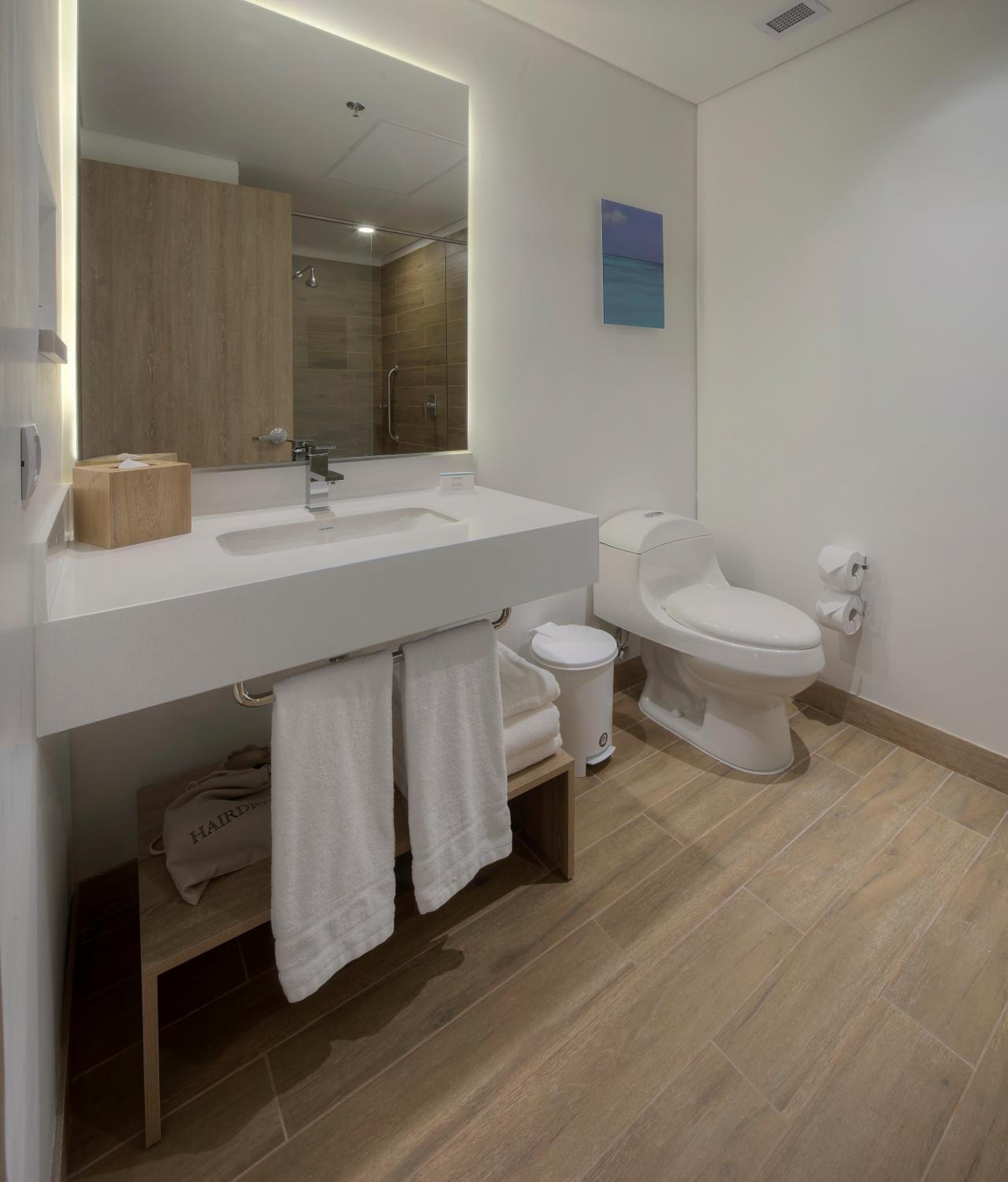 King Room with Roll-In Shower - Mobility Access photo 3
