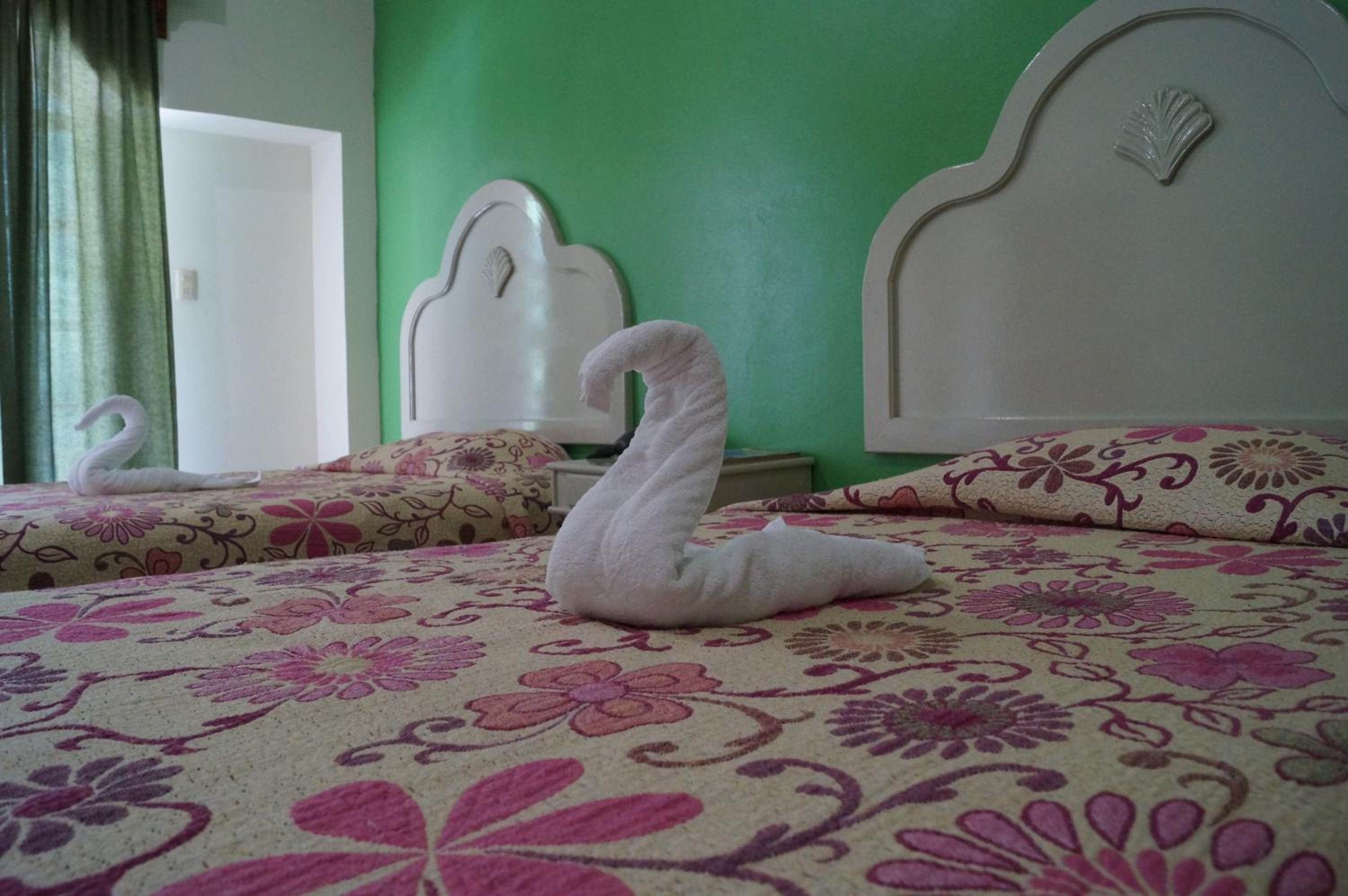 Superior Double Room with Two Double Beds photo 2