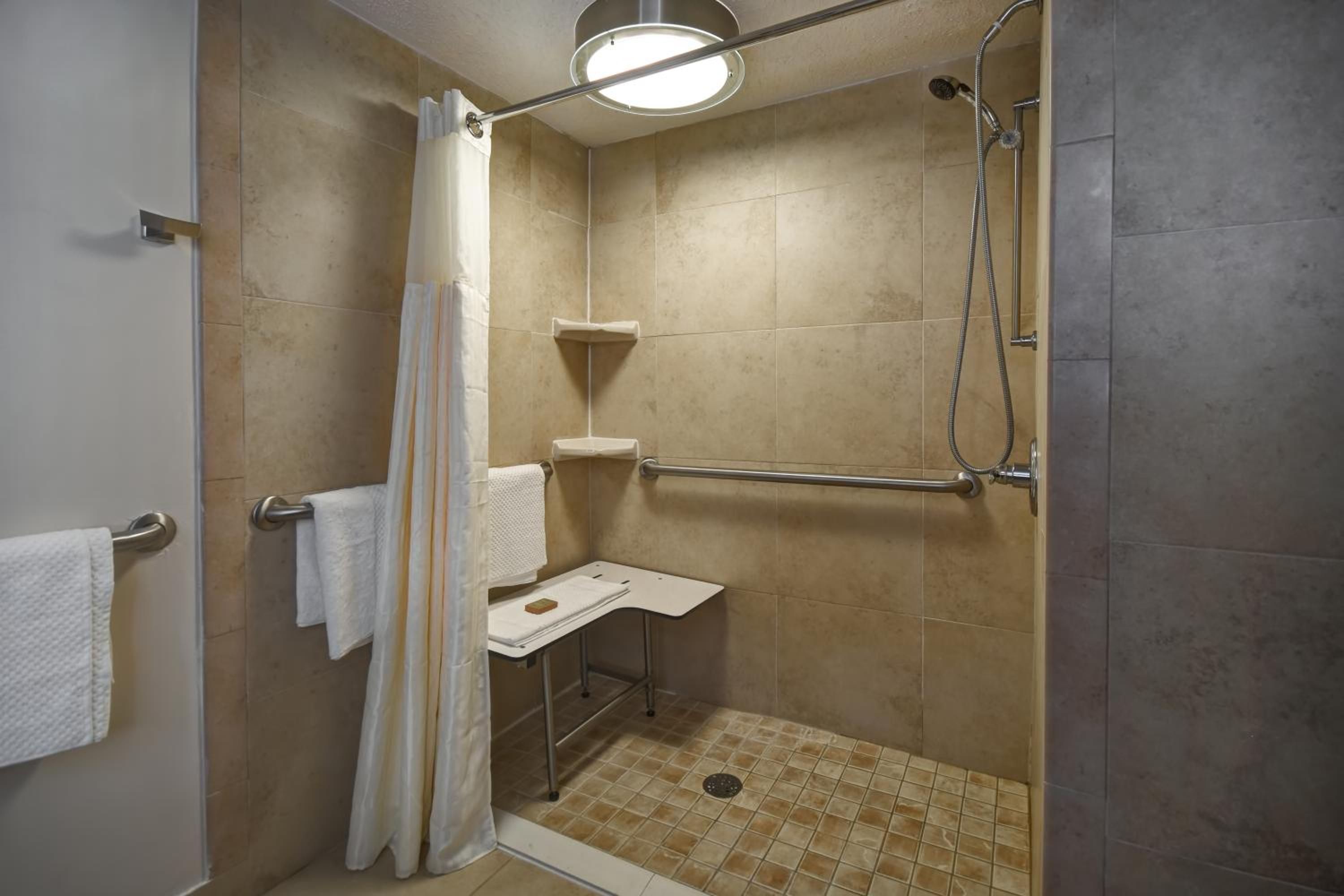 Queen Room with Roll-In Shower - Mobility Access/Non-Smoking - Photo 2