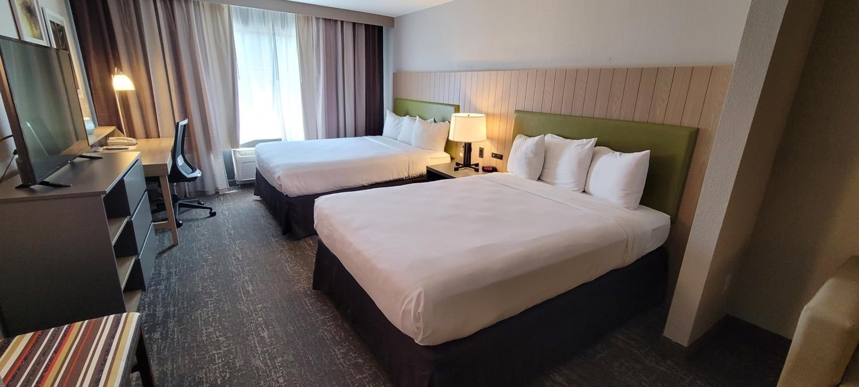 Executive Double Suite photo 1