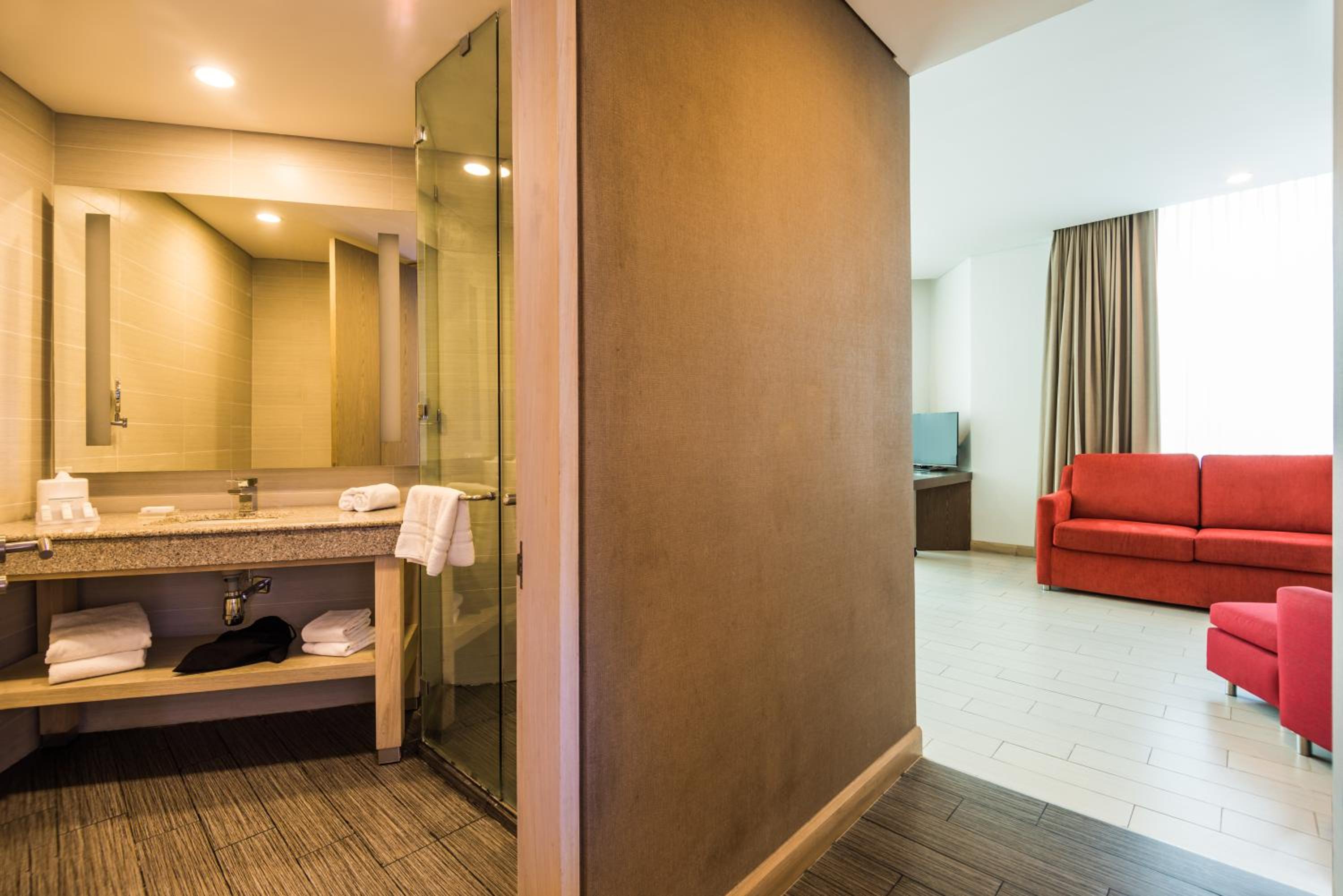 King Suite with Sofa Bed photo 3