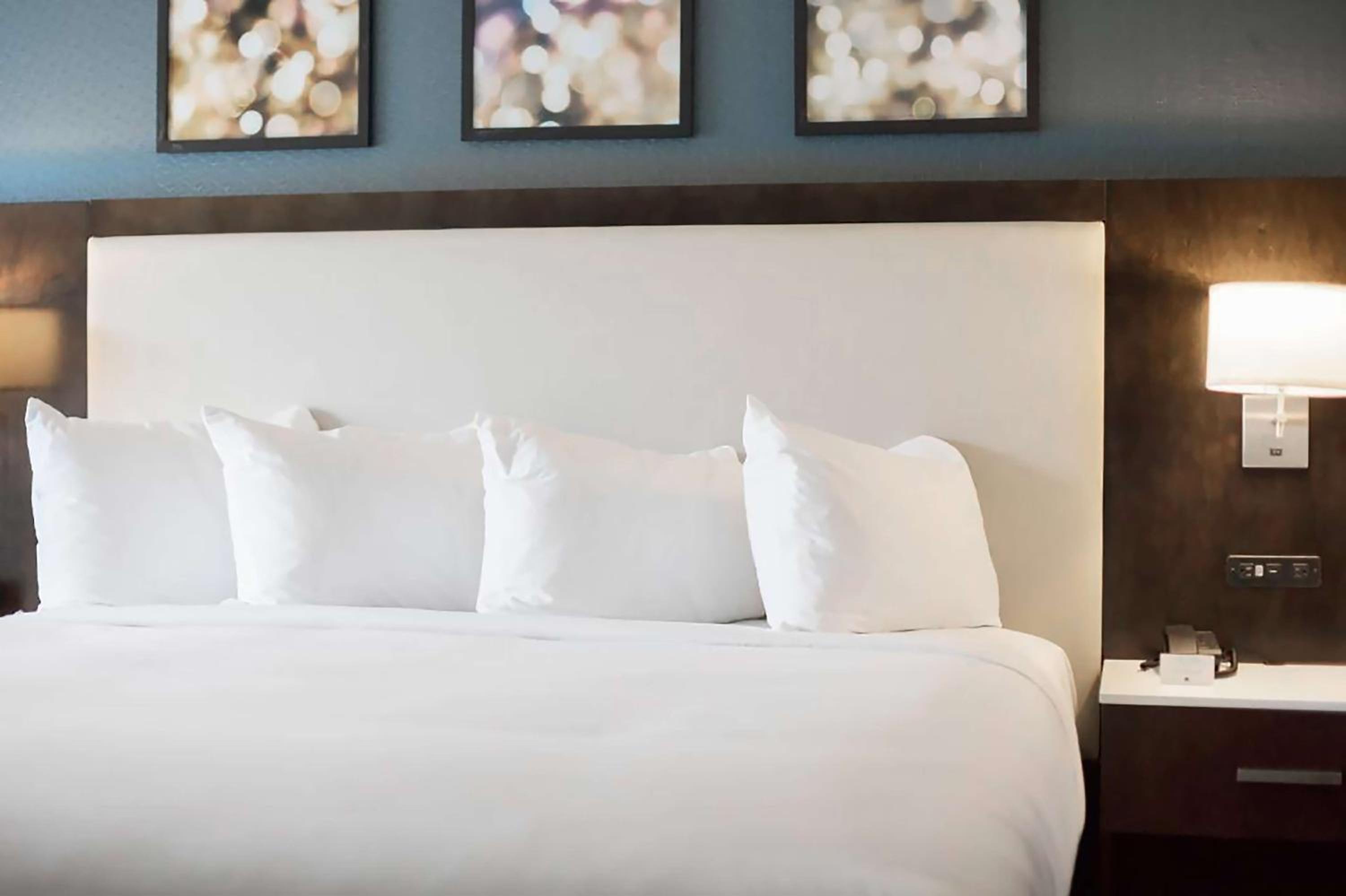 King Room photo 2