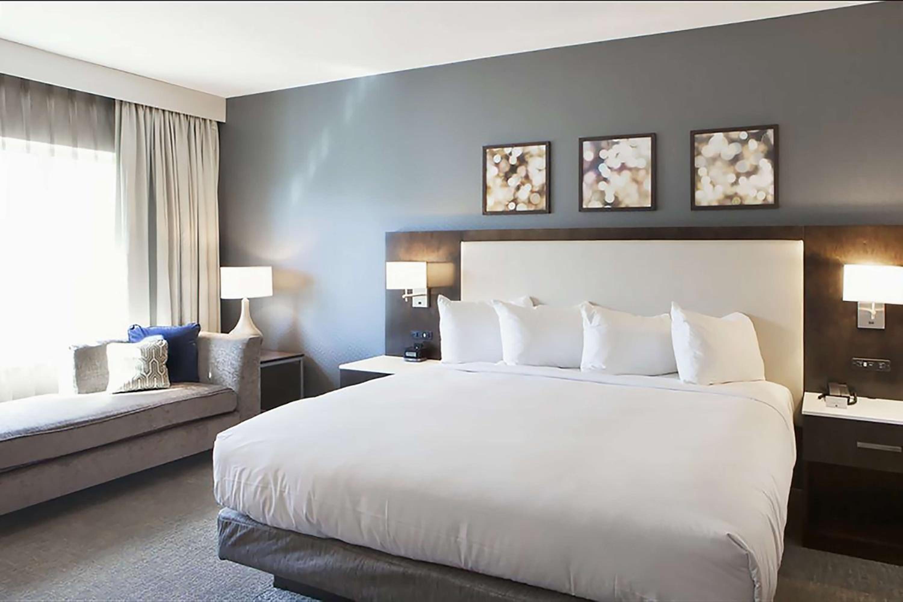 King Room photo 3