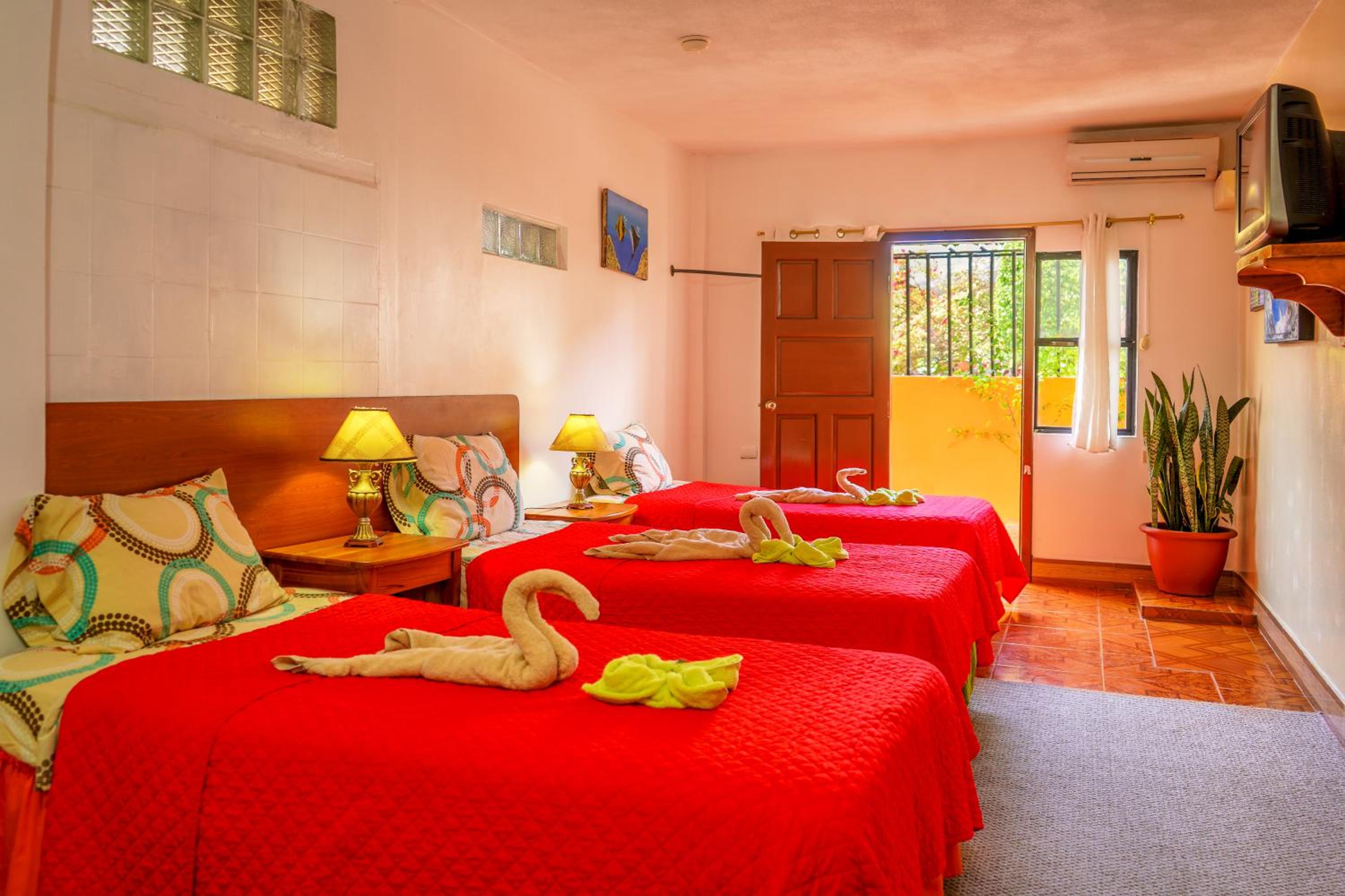 Triple Room photo 3