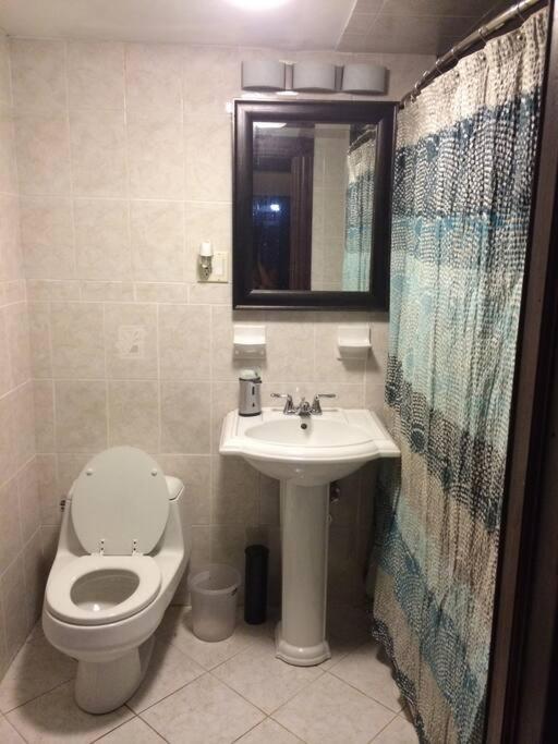 One-Bedroom Apartment photo 3