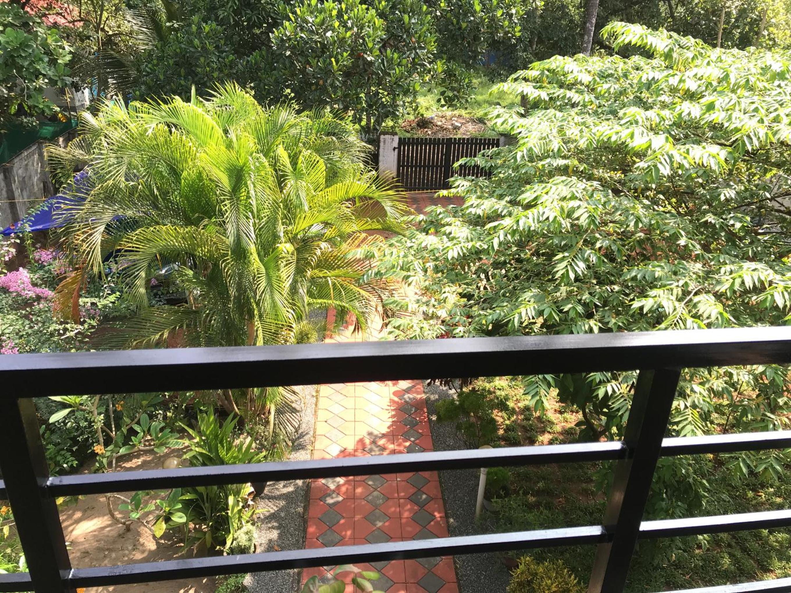 Double Room with Balcony photo 3