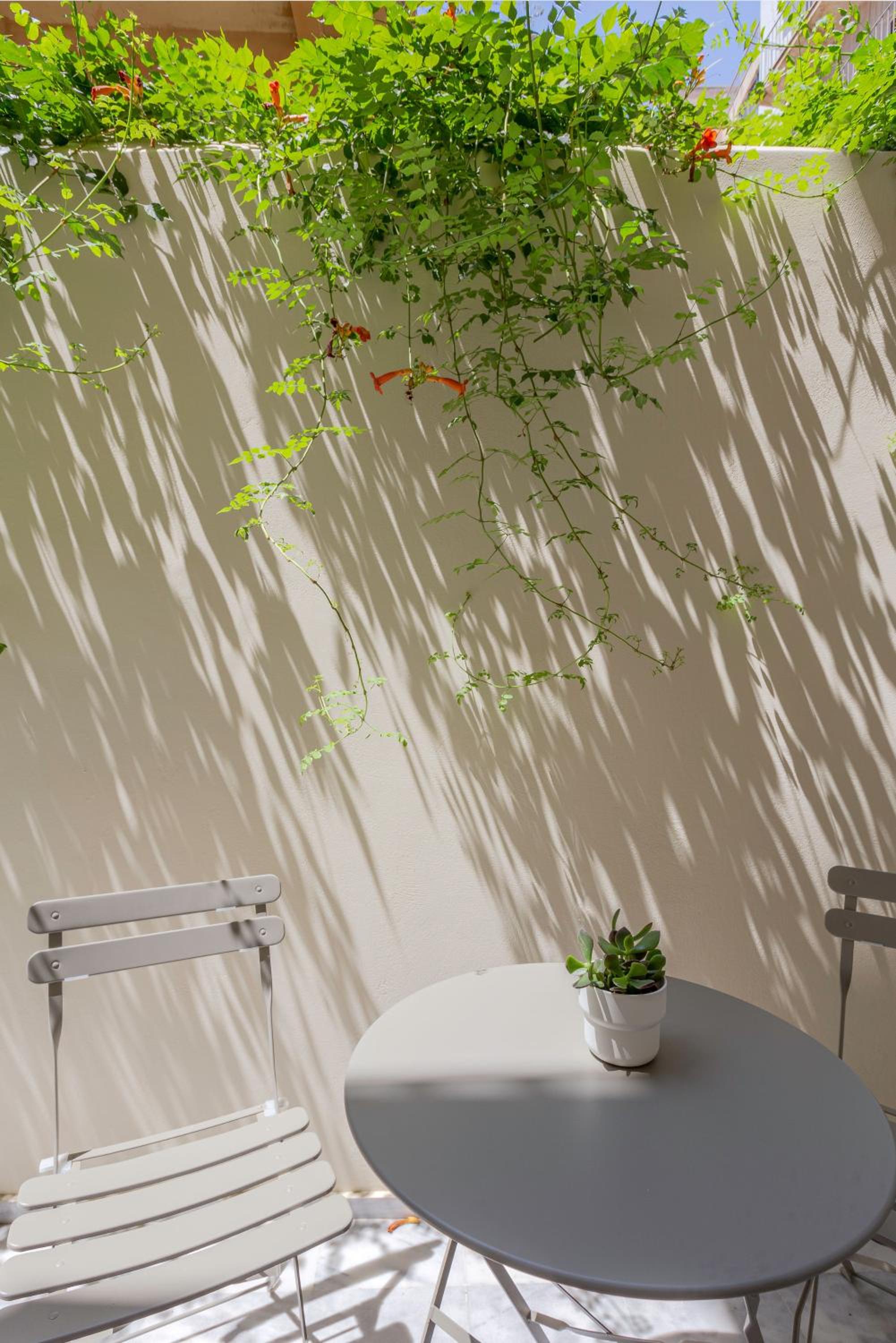 Apartment with Terrace photo 2