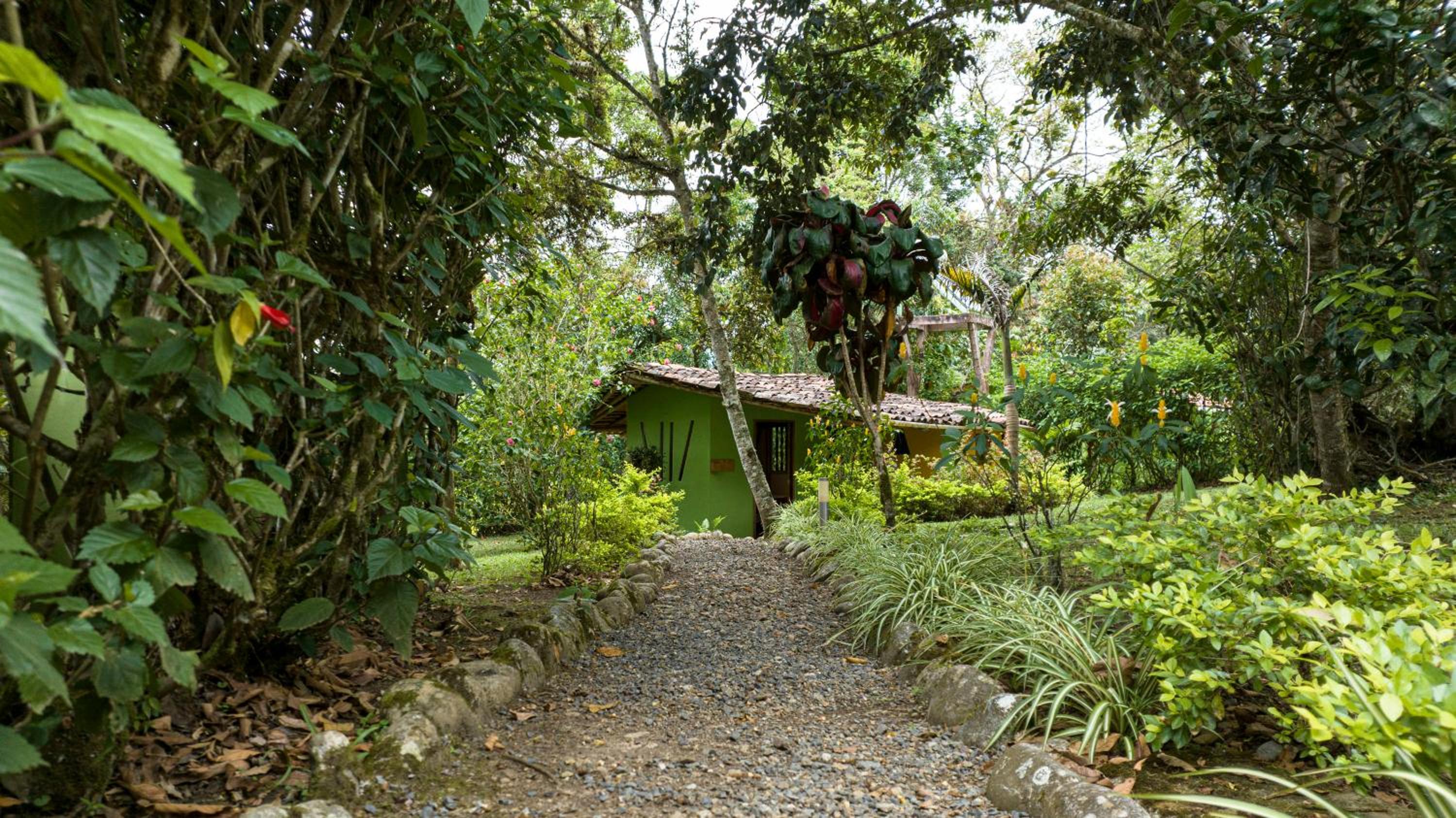 Deluxe Double or Twin Room with Garden View photo 3