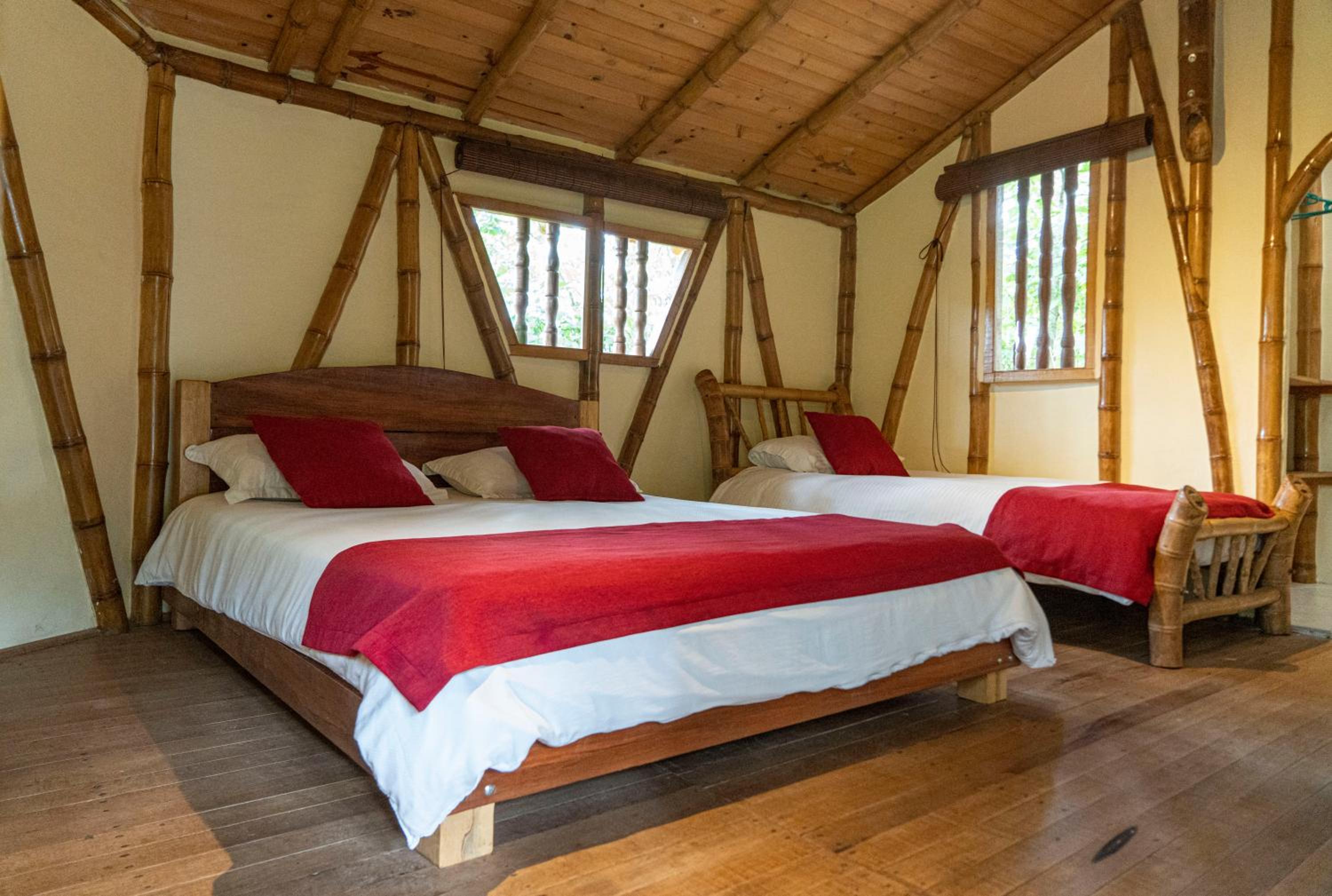 Deluxe Double or Twin Room with Garden View photo 1