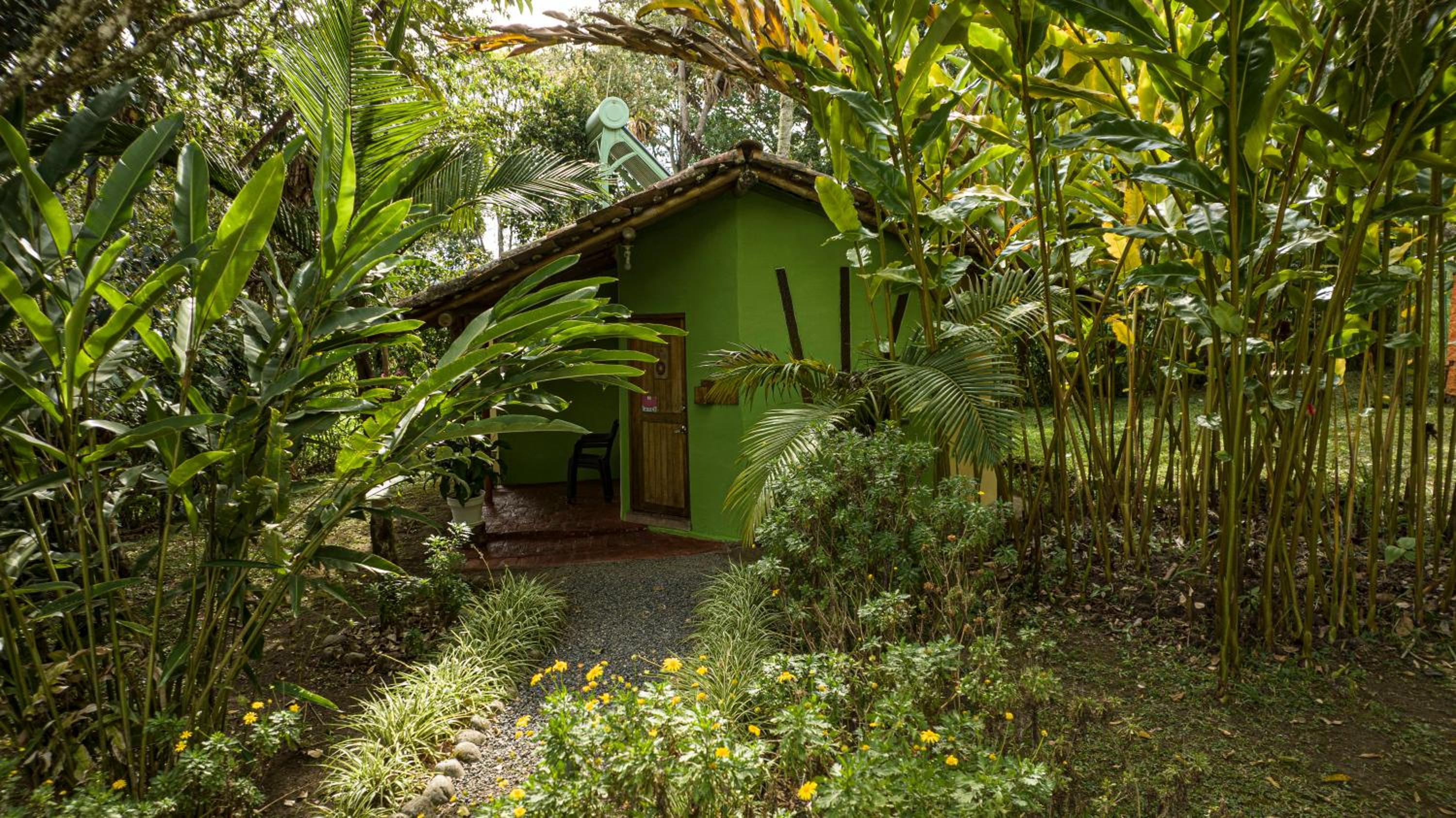 Deluxe Double or Twin Room with Garden View photo 3
