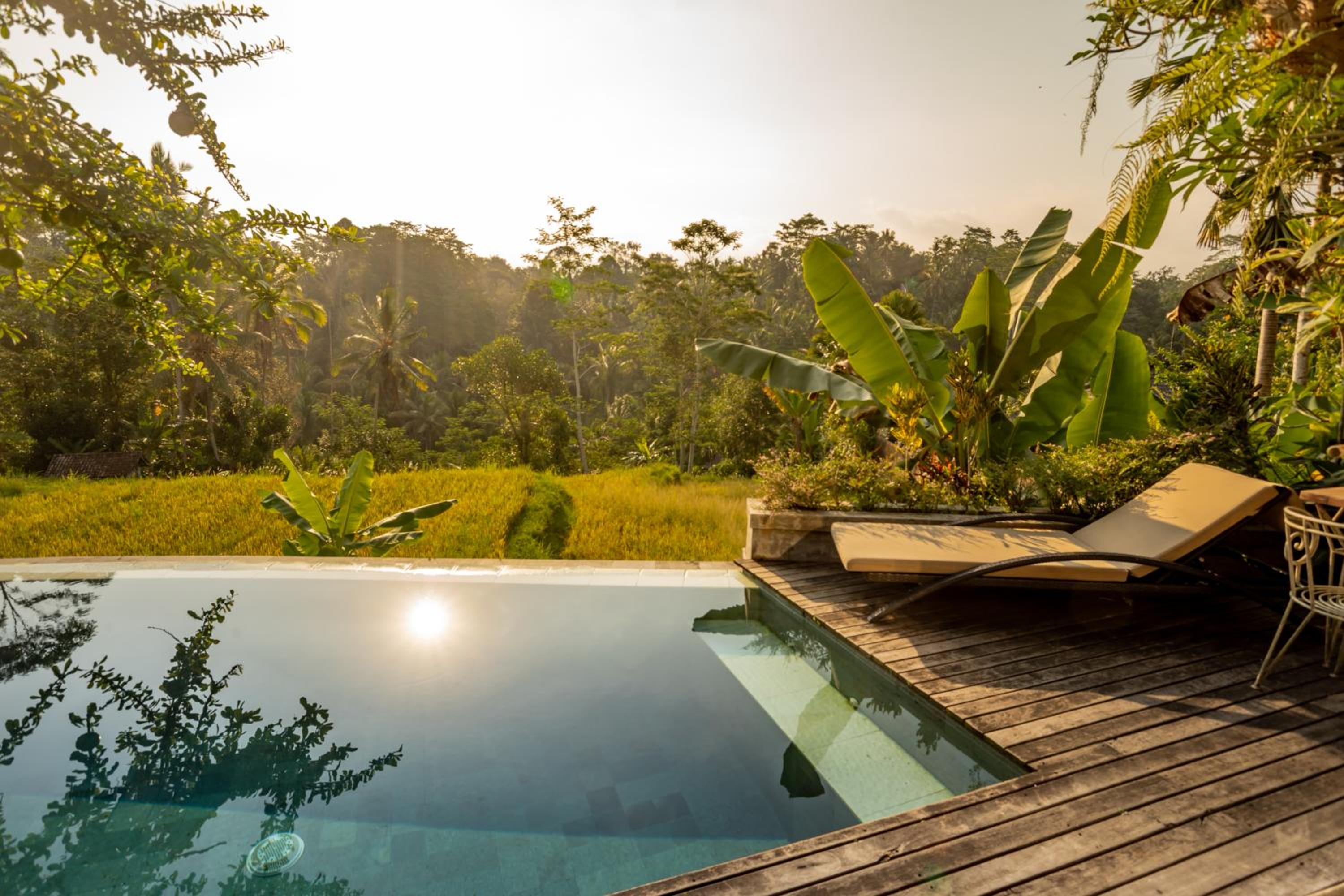 One Bedroom Private Pool Villa with Jungle View photo 2