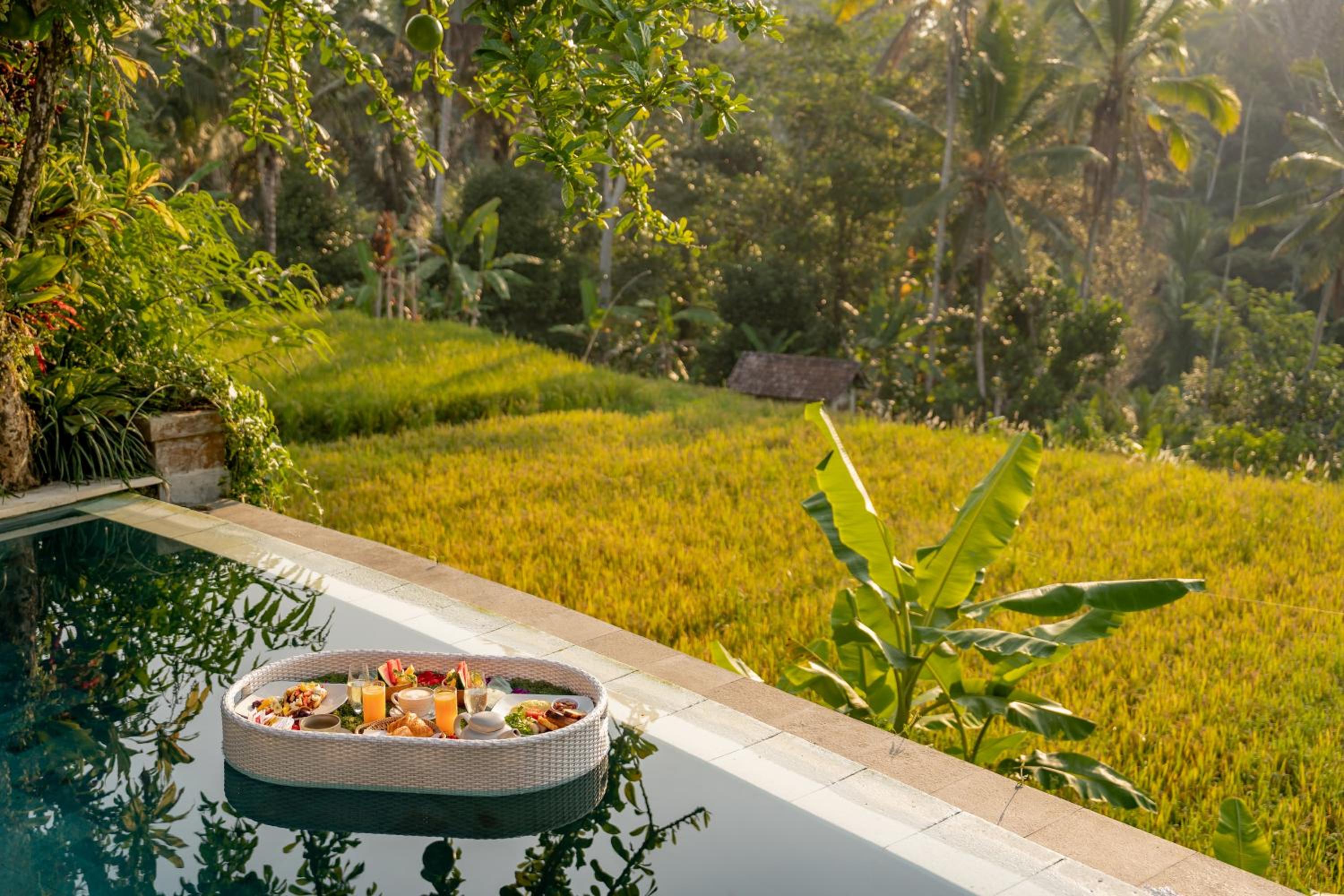 One Bedroom Private Pool Villa with Jungle View photo 3