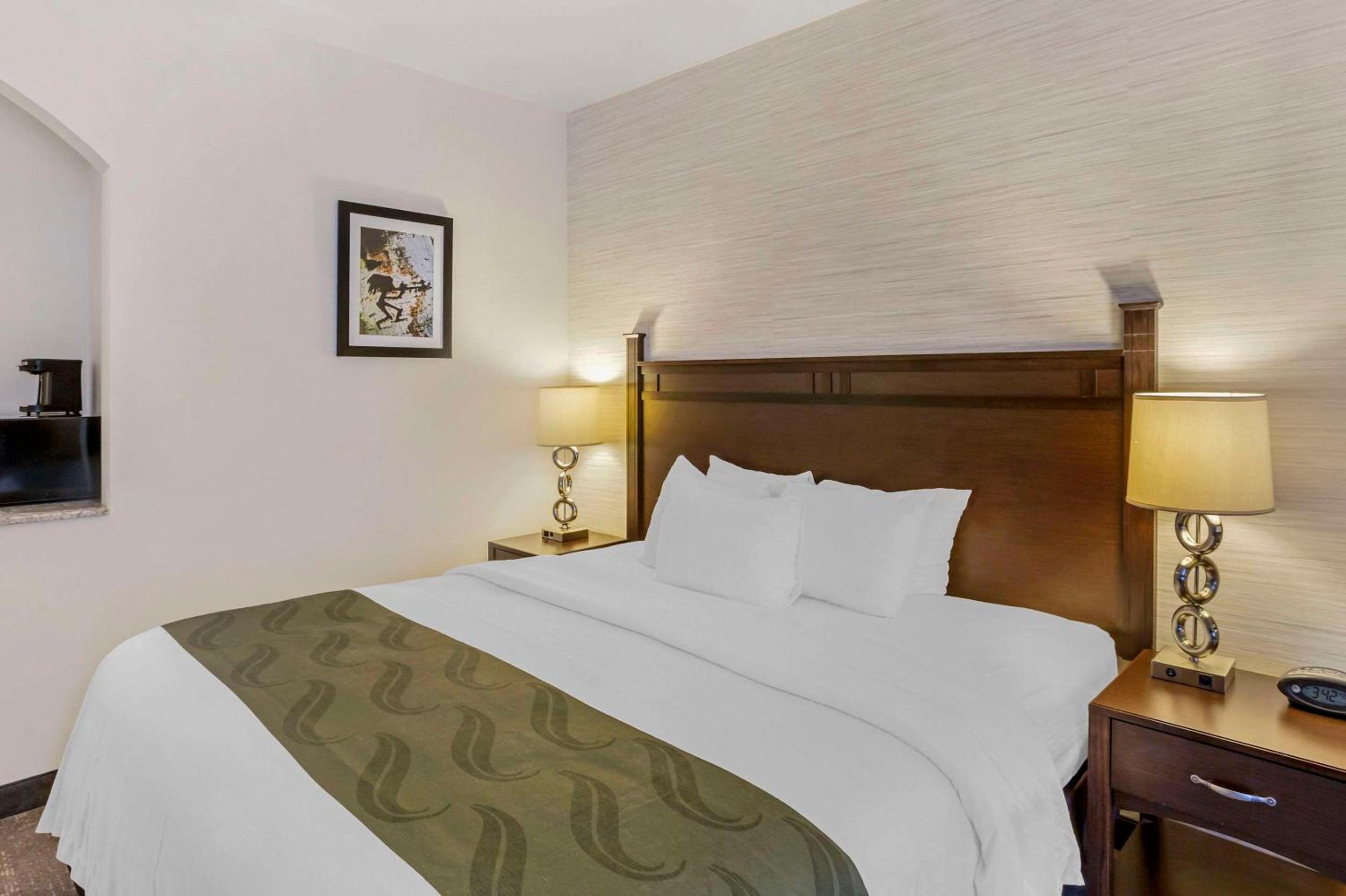 One Room Suite with Sofa bed - Non Smoking/Pet Friendly photo 2