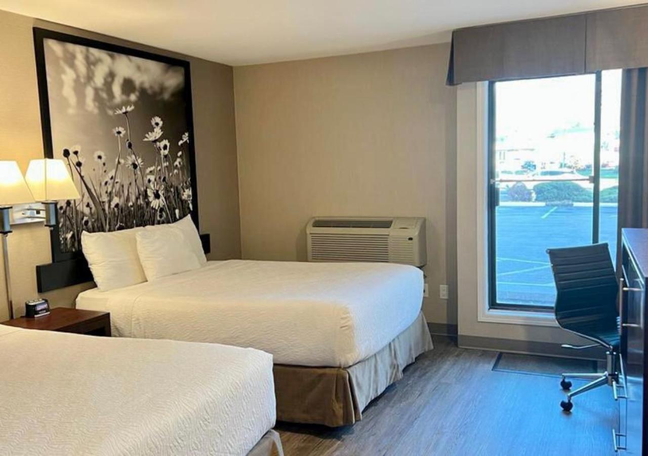 Queen Room with Two Queen Beds - Non Smoking - Pet Friendly - Photo 1