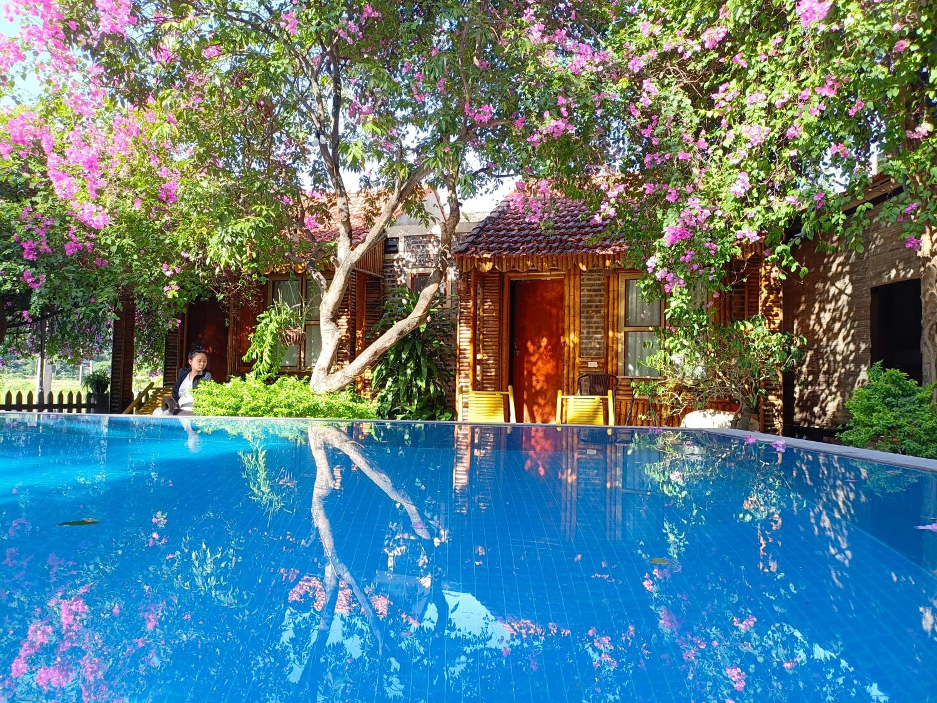 Double Room with Mountain View photo 1