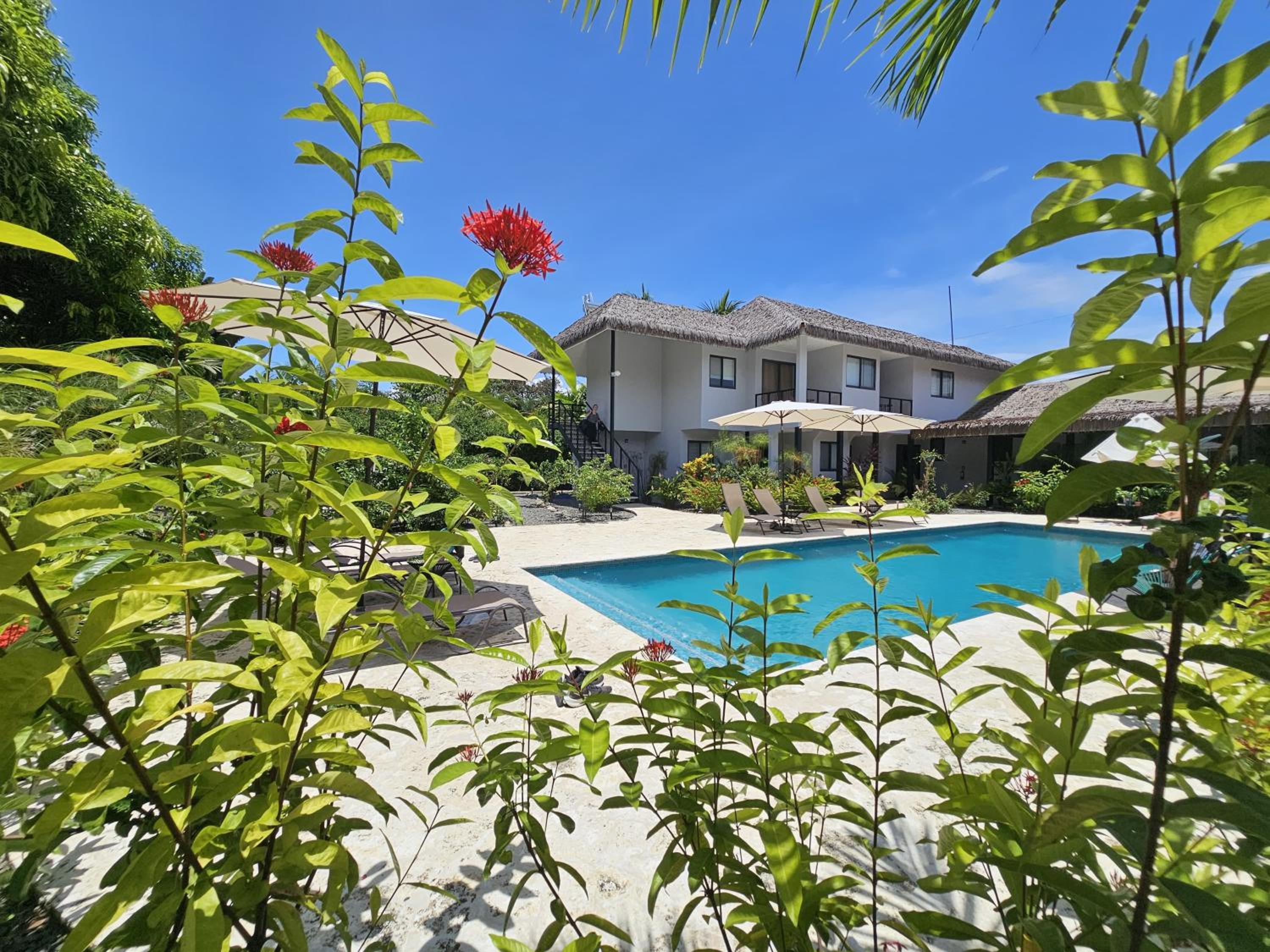 Deluxe Double or Twin Room with Pool View photo 3