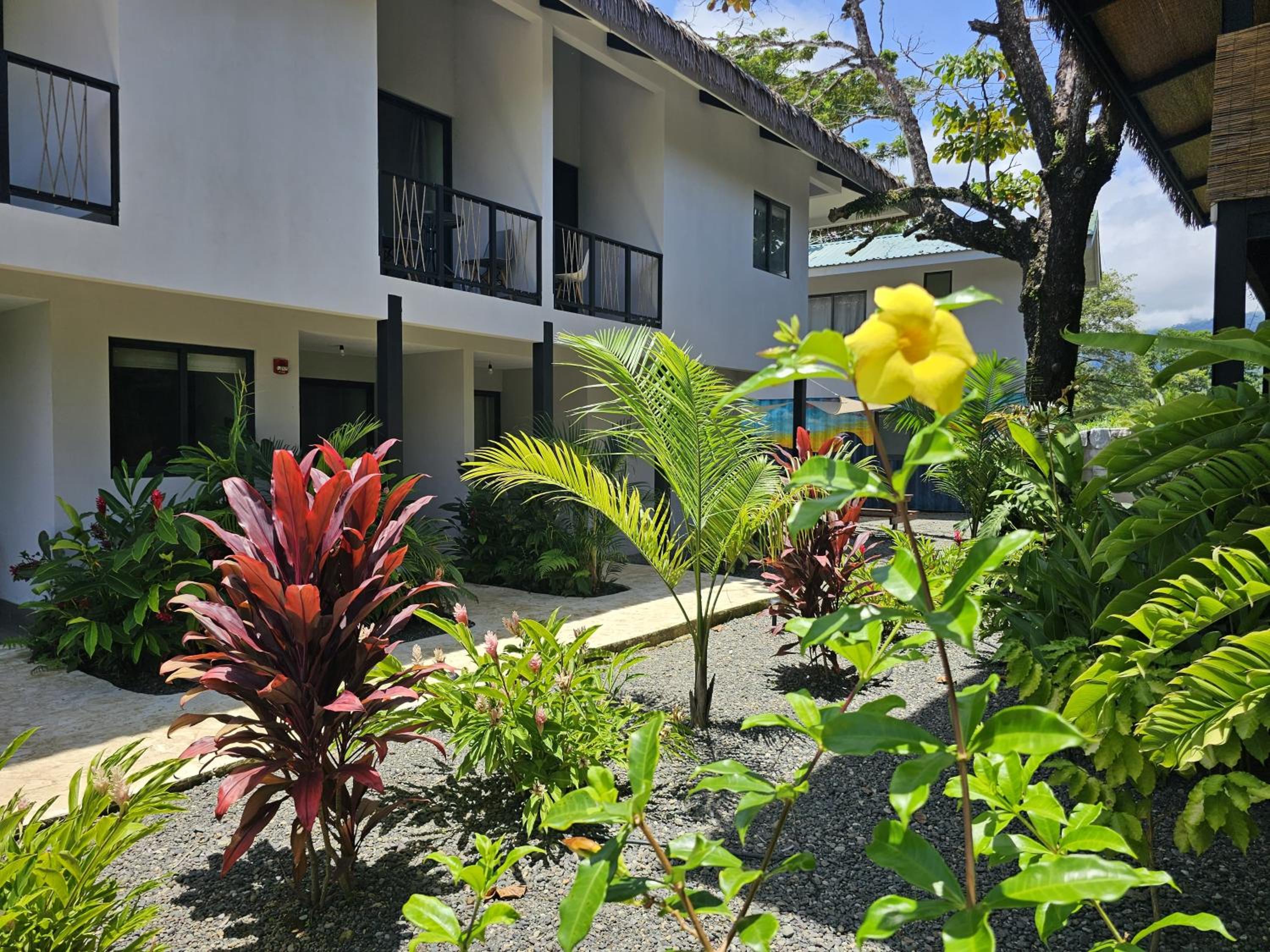 Deluxe Double Room with Balcony photo 3