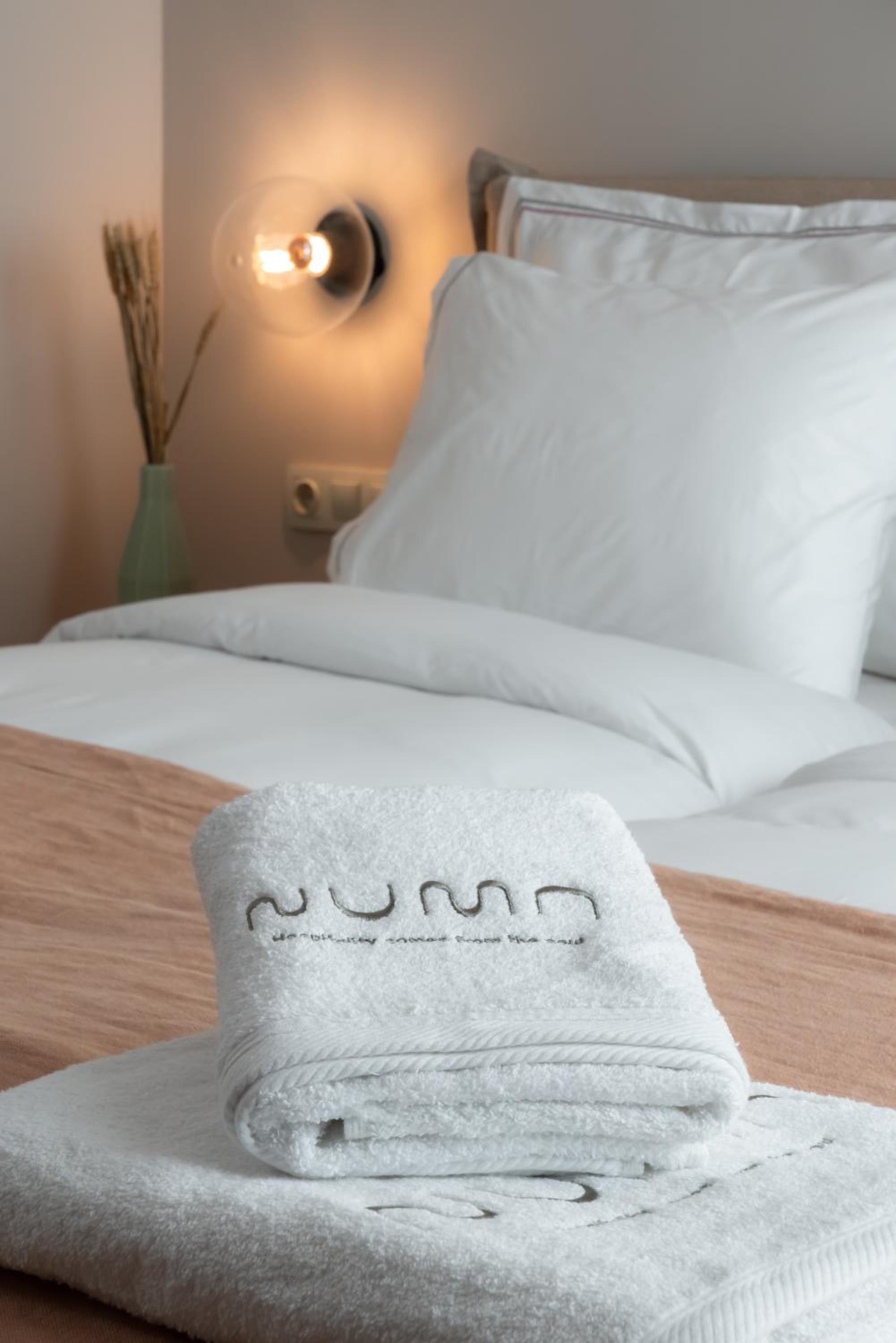 Superior Double or Twin Room with City View photo 1