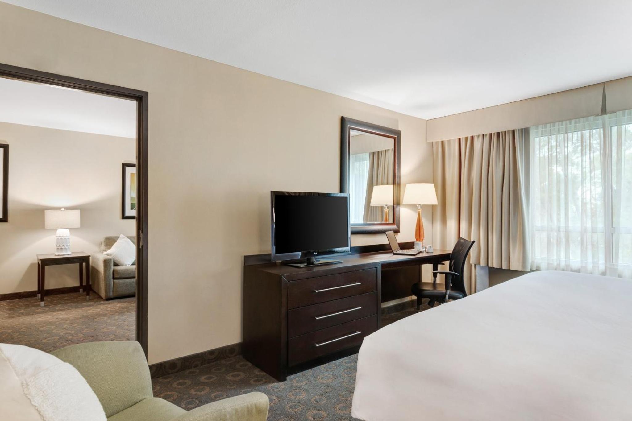 One-Bedroom King Suite with Sofa Bed - Photo 3