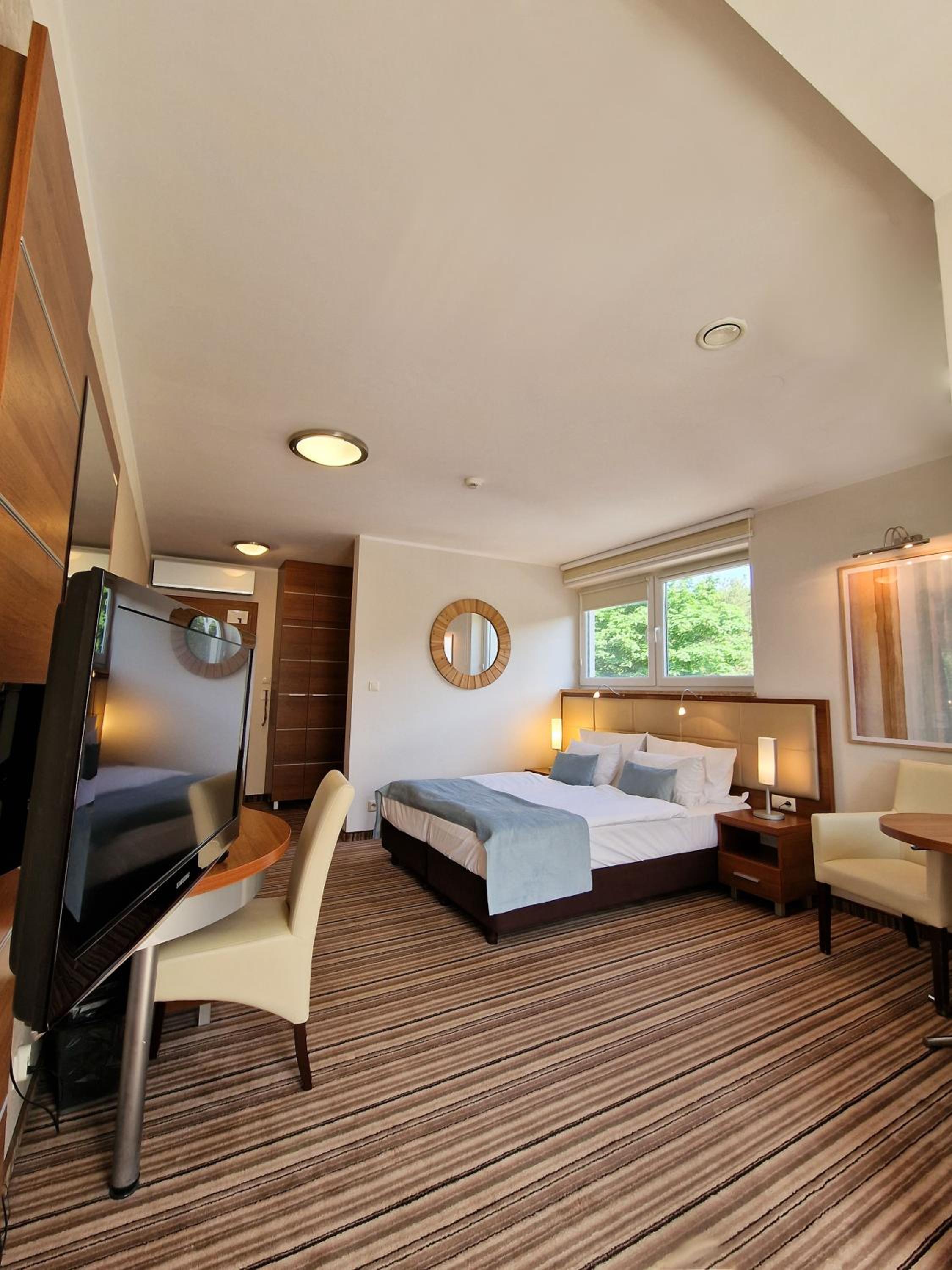 Superior Double or Twin Room photo 3