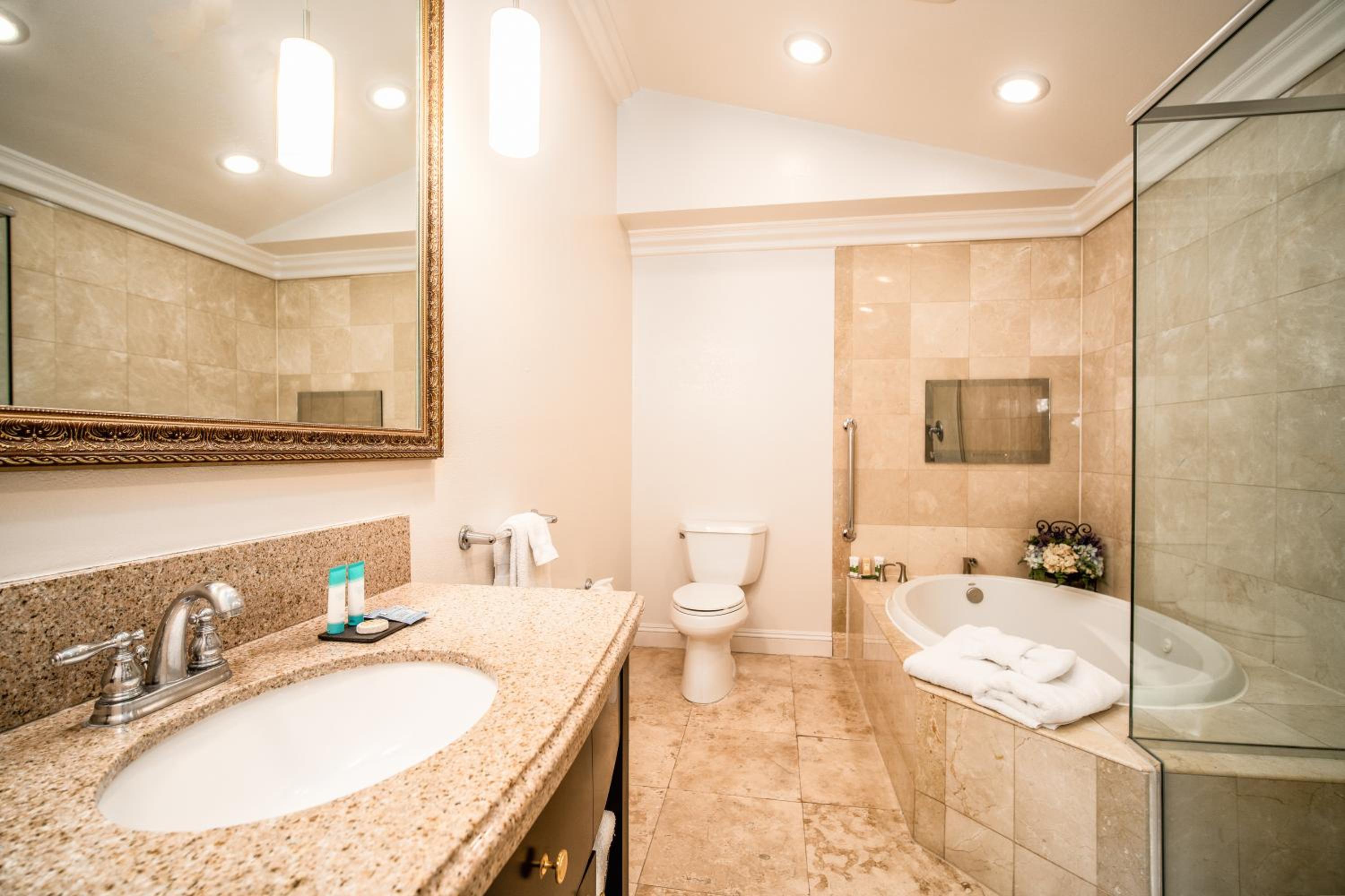 Suite with Hot Tub - Photo 5