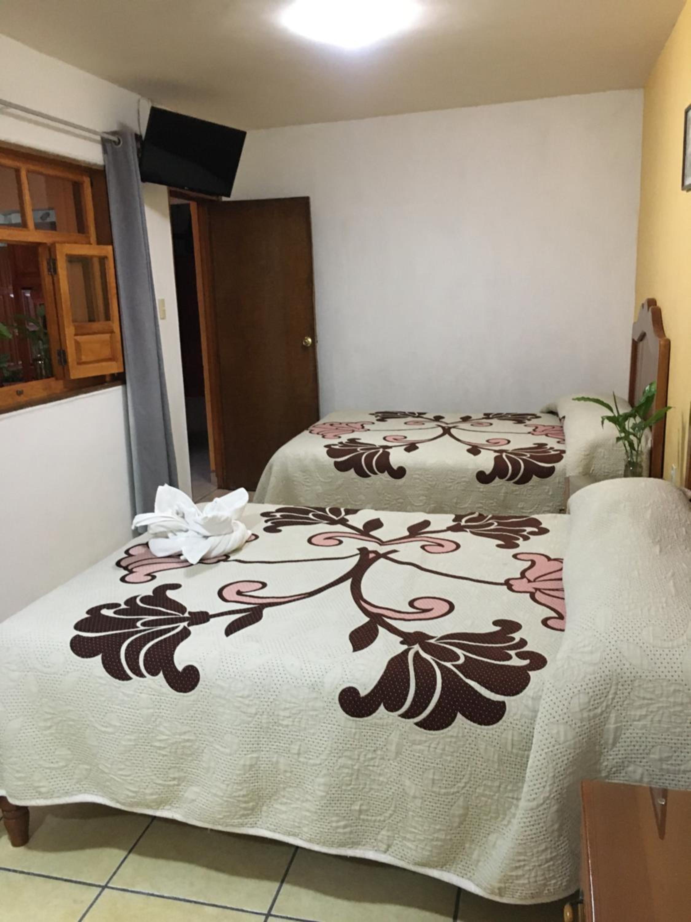 Quadruple Room photo 1
