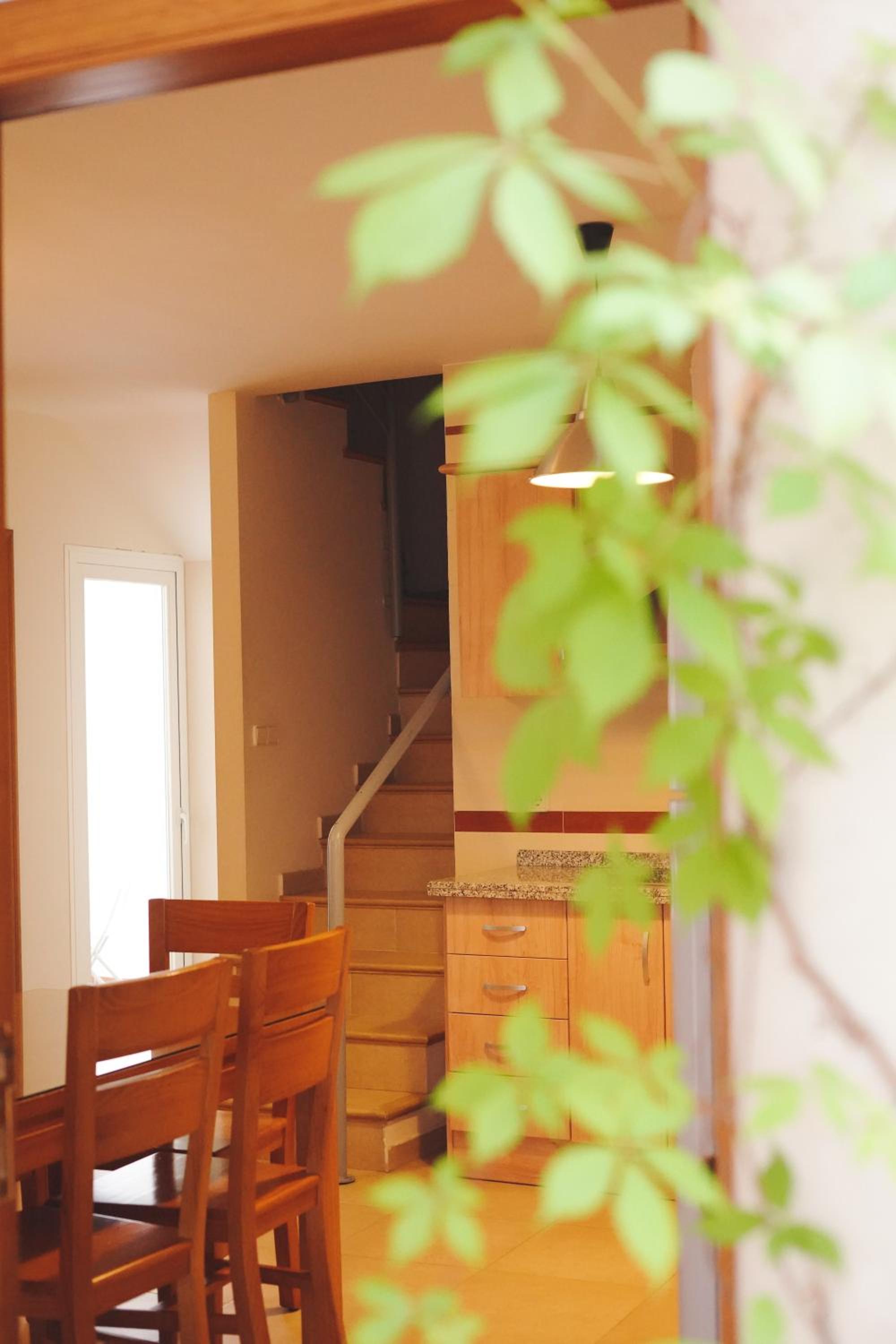Maisonette