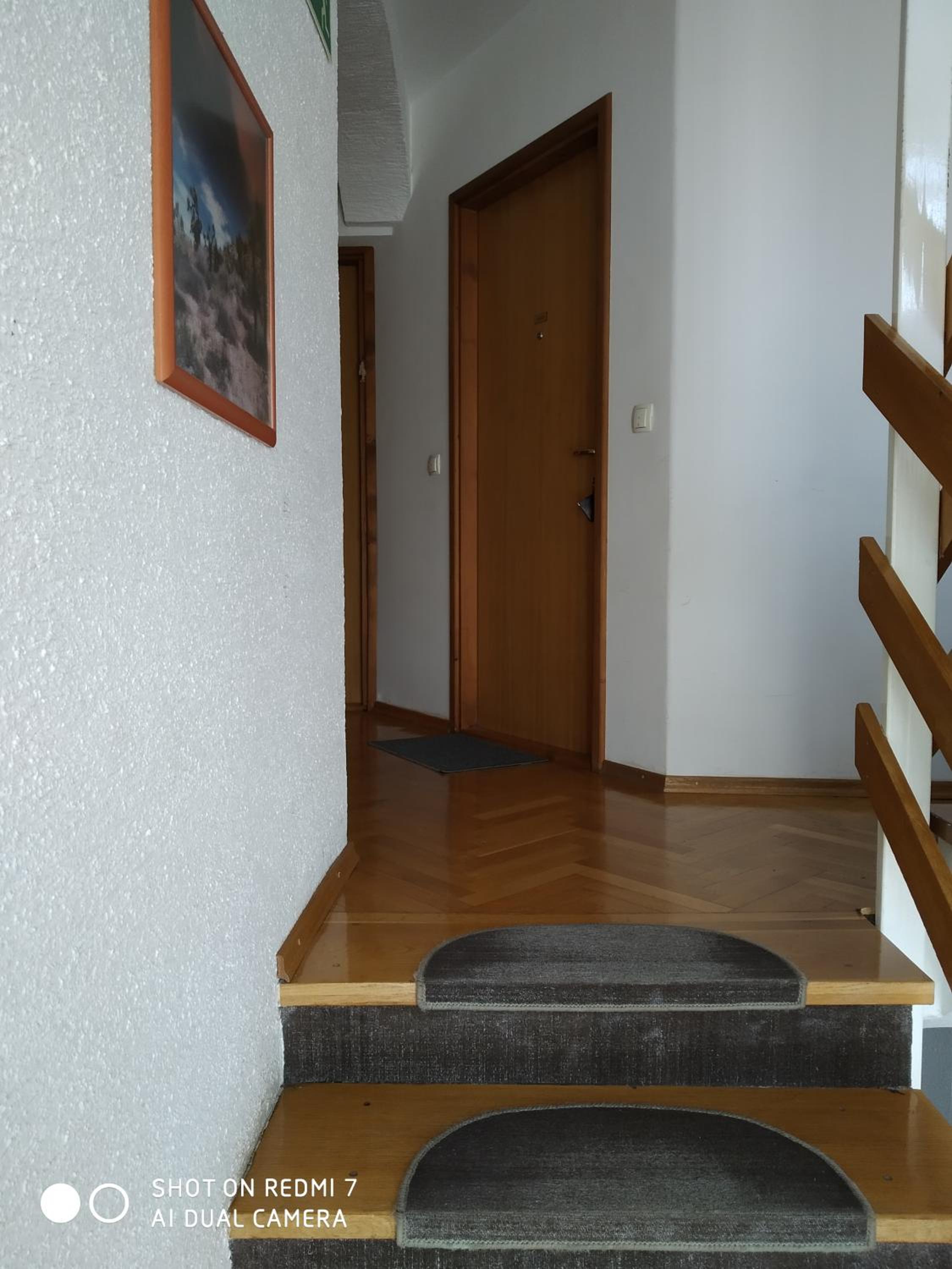 Apartment with Terrace photo 3