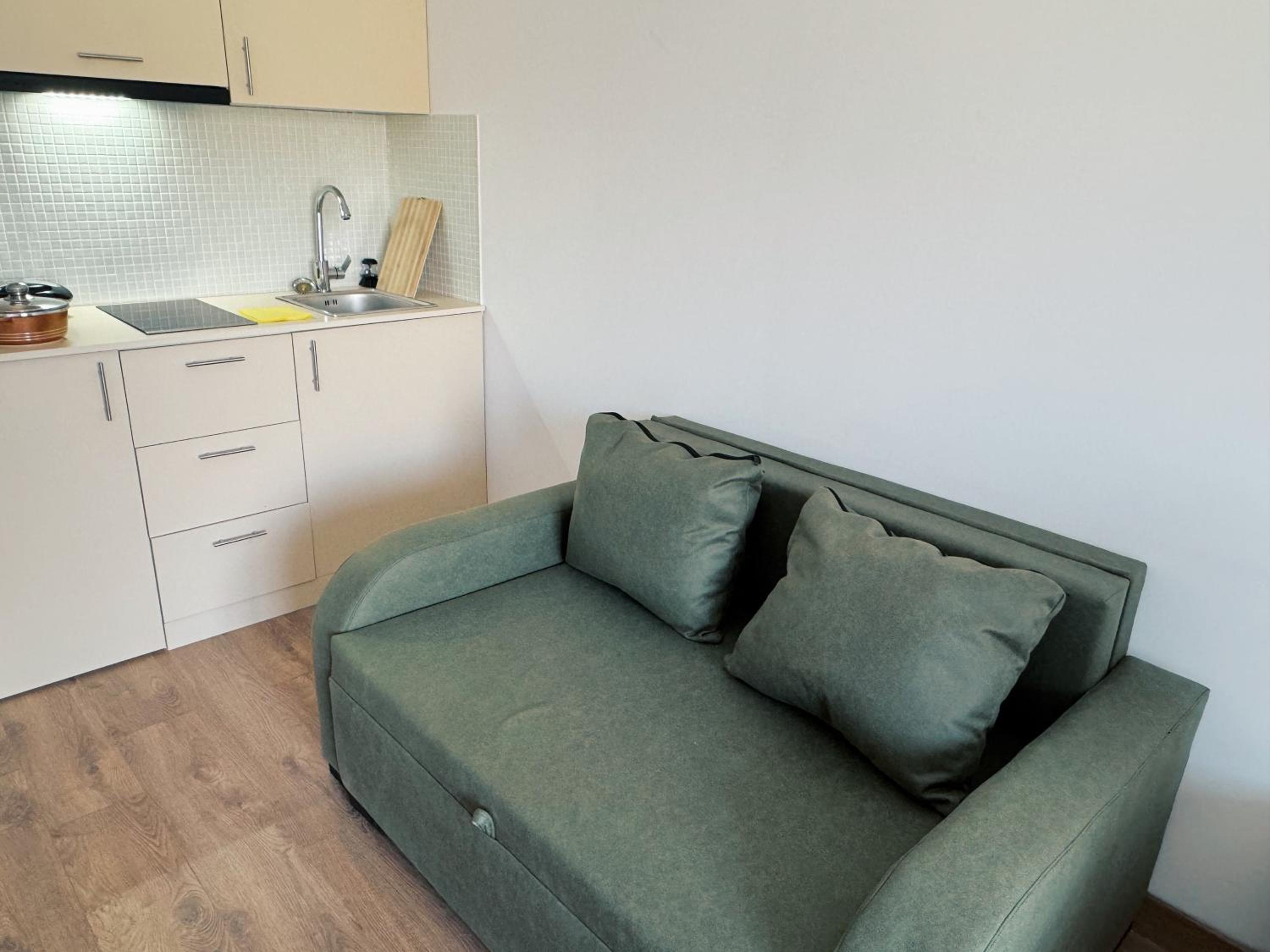 Studio Apartment photo 3