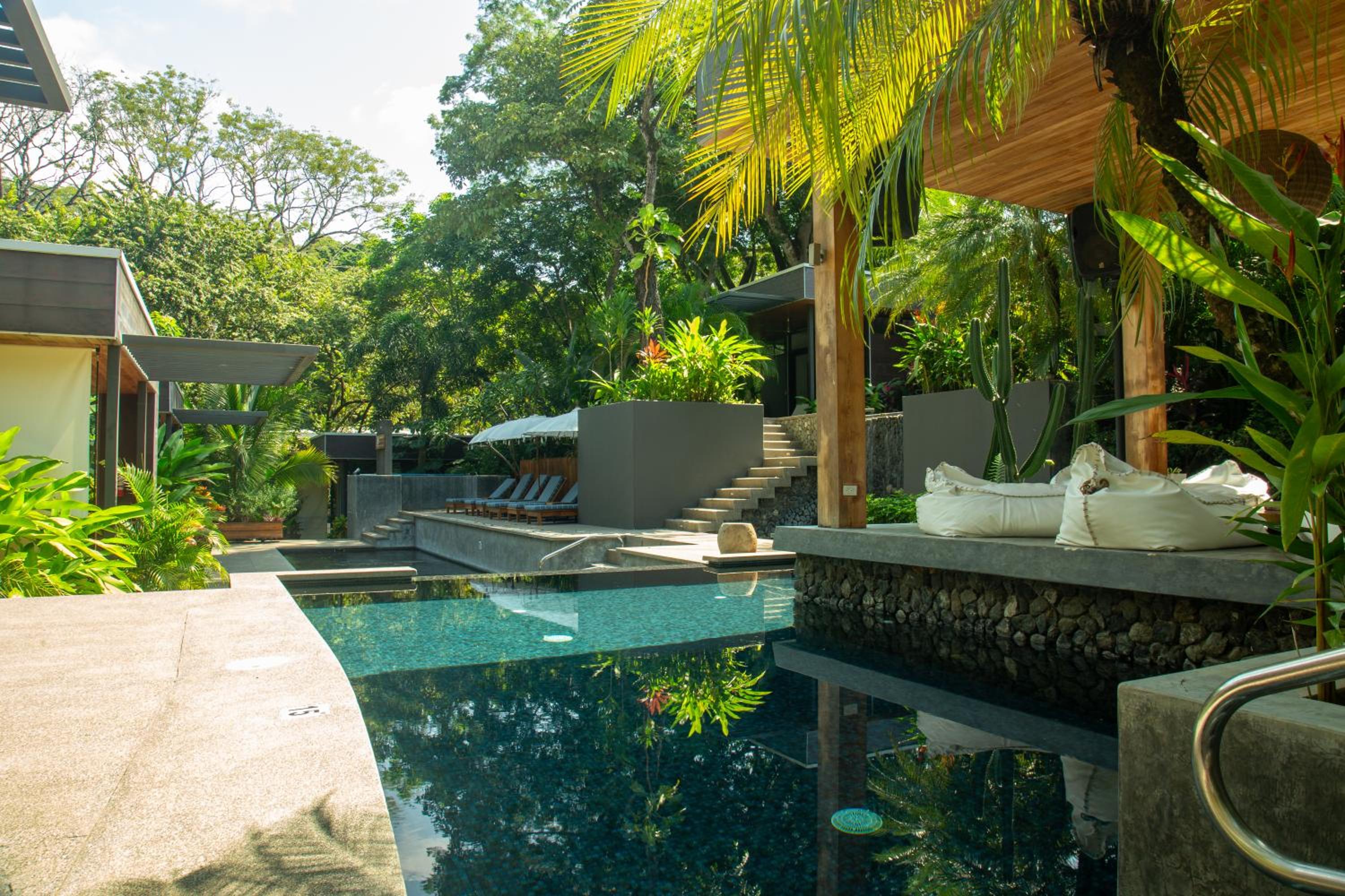 Queen Suite with Pool View photo 3