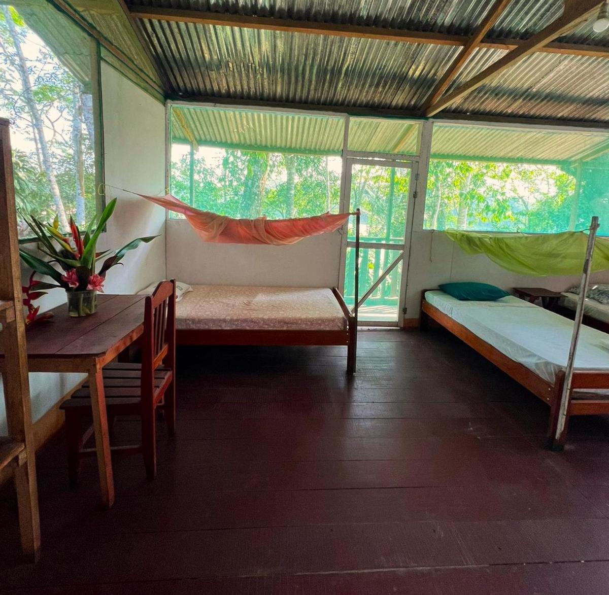 Bed in 6-Bed Female Dormitory Room photo 1
