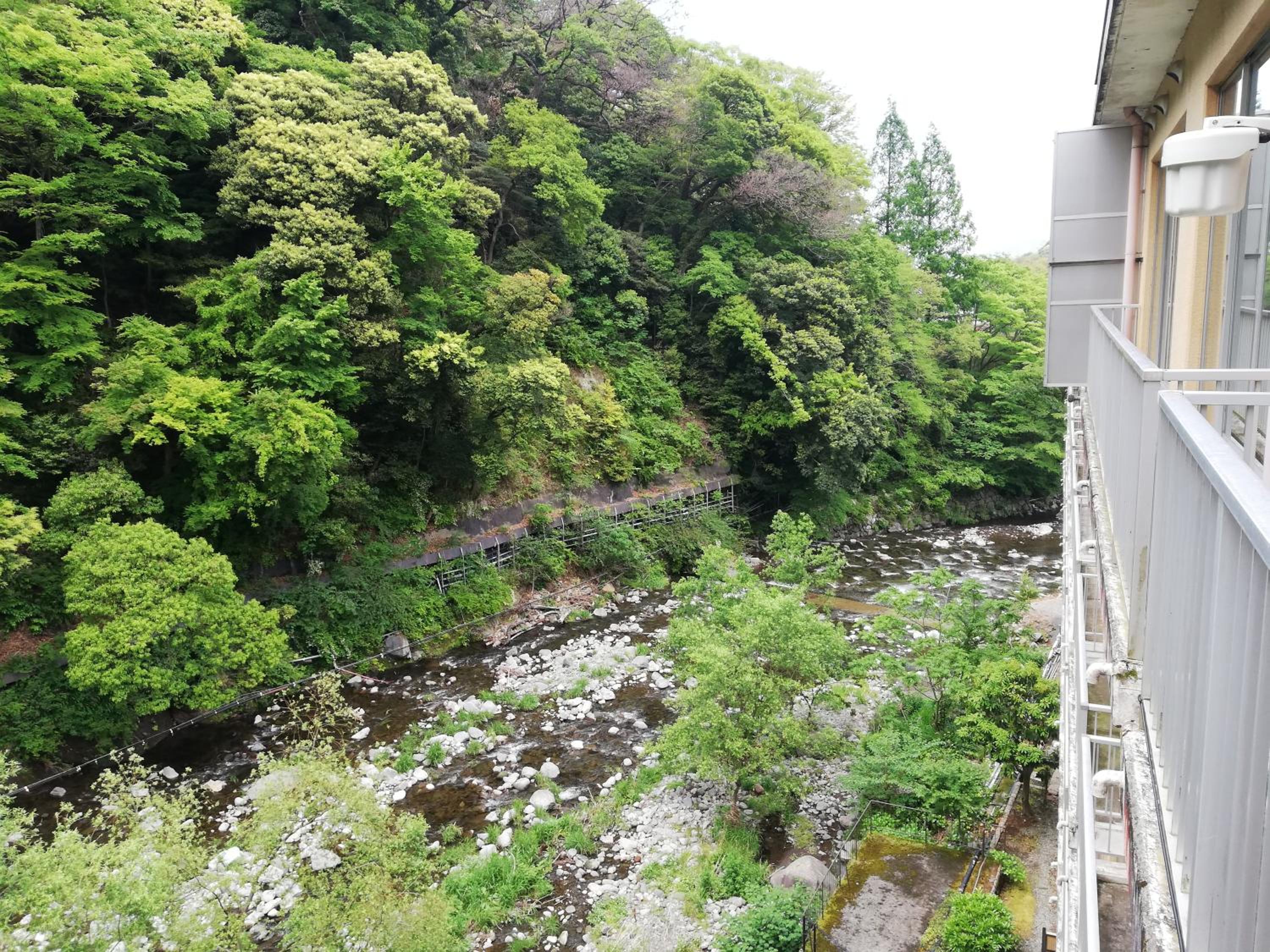 Deluxe Twin Room with Tatami Area and Semi Open-Air Bath - Non-Smoking - River View