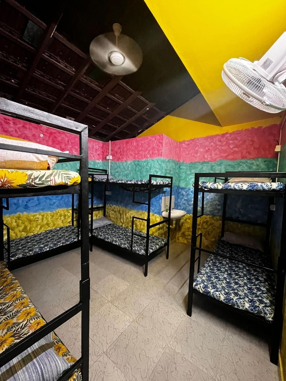 Bed in 8-Bed Mixed Dormitory Room photo 1