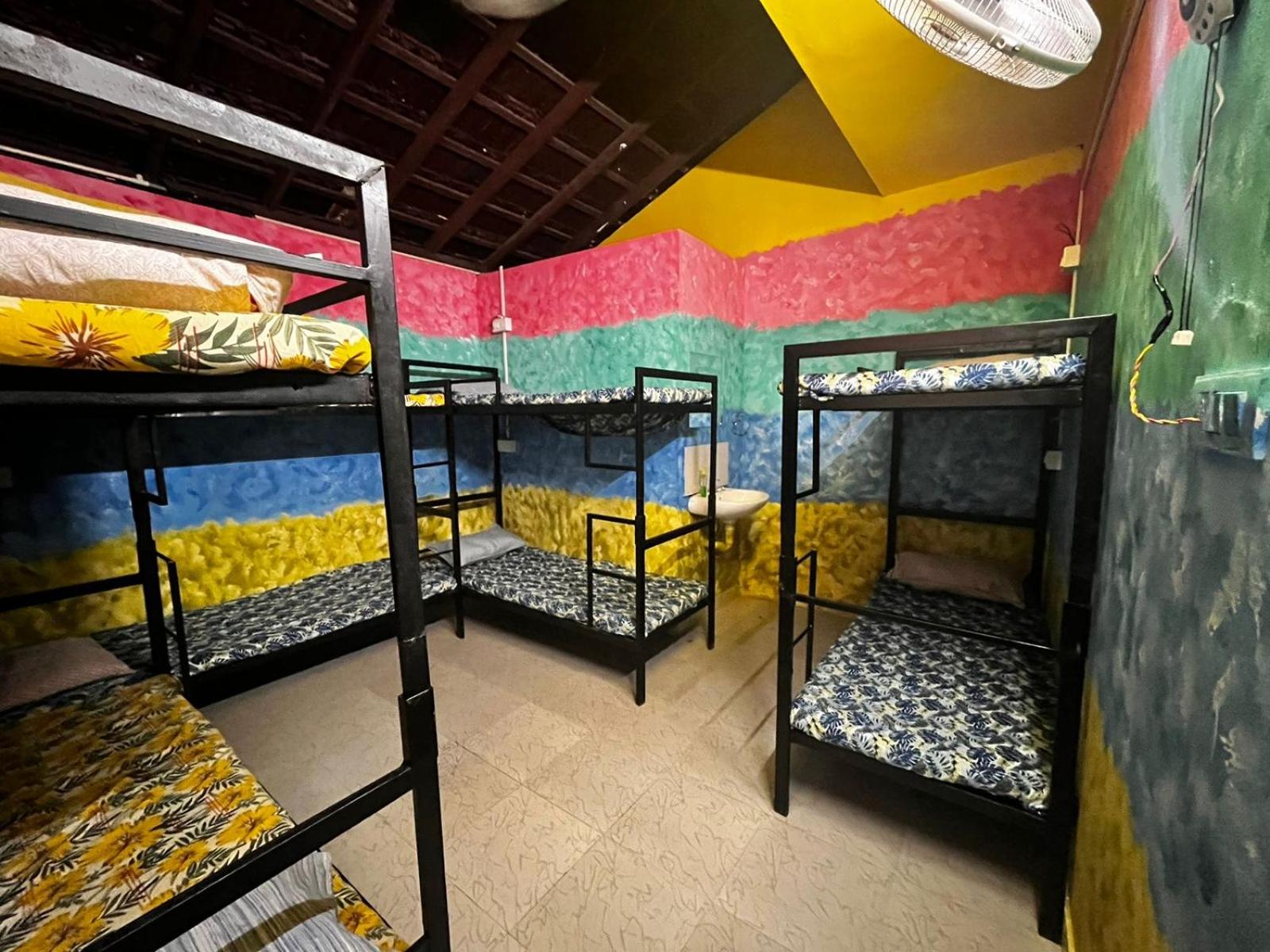 Bed in 8-Bed Mixed Dormitory Room photo 3