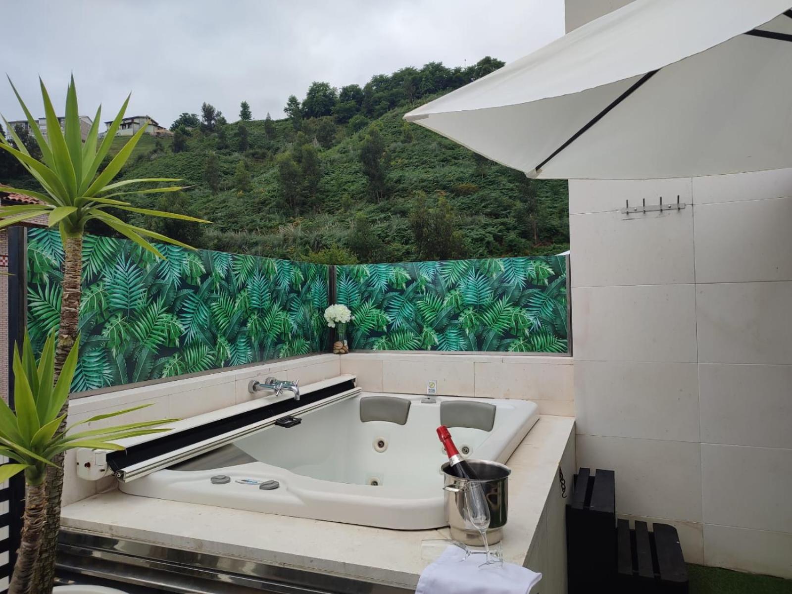 Premium double with heated mini pool on private terrace - Photo 3