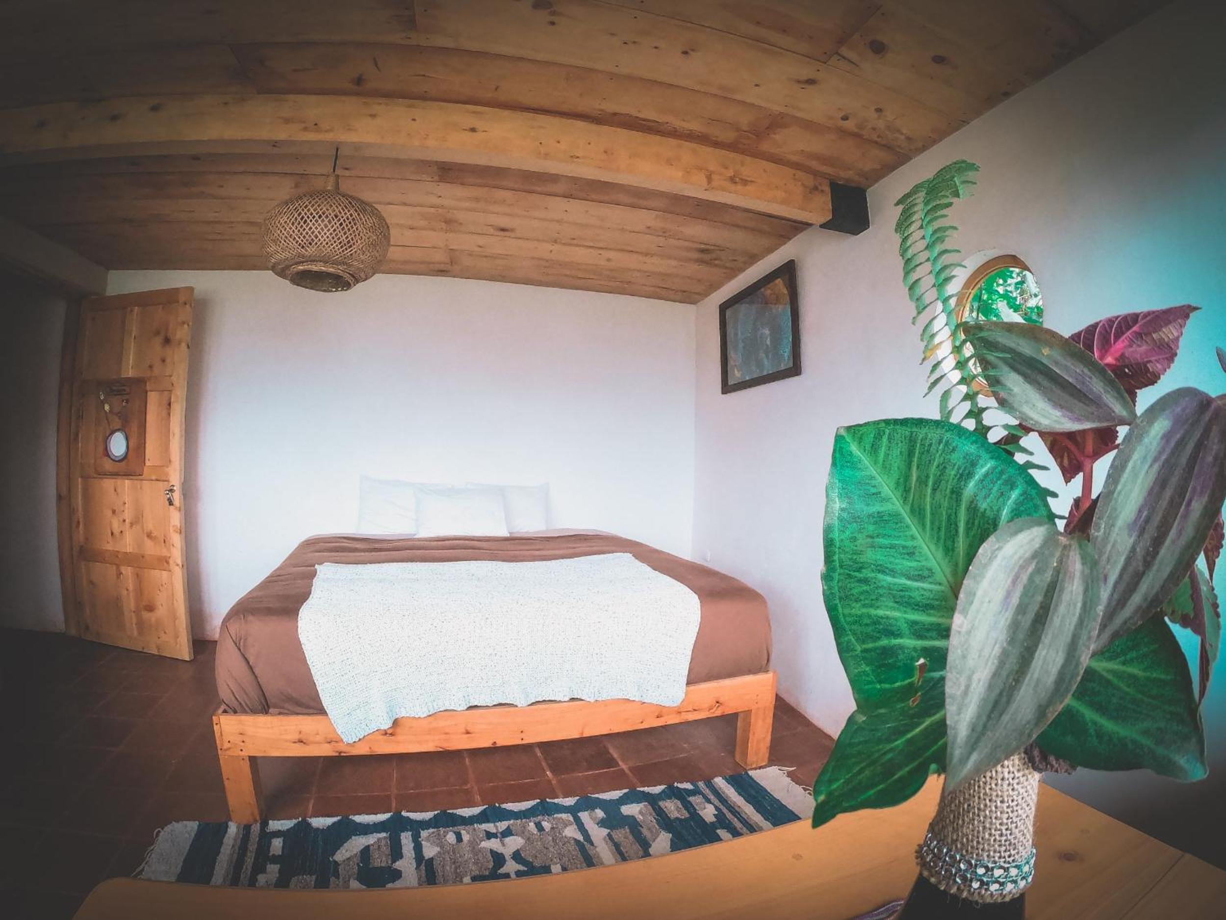 King Room with Lake View photo 3